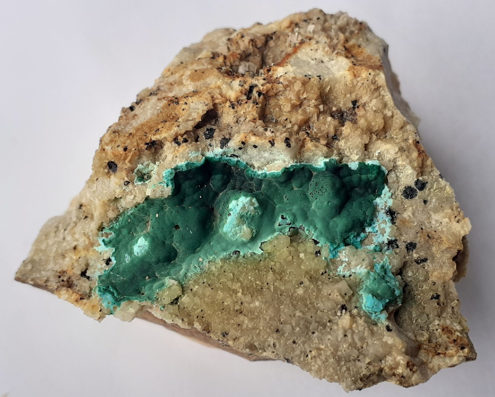 Malachite, Chrysocolla, Dolomite
4,5 x 3,5 cm
(Autor: Volkmar Stingl)