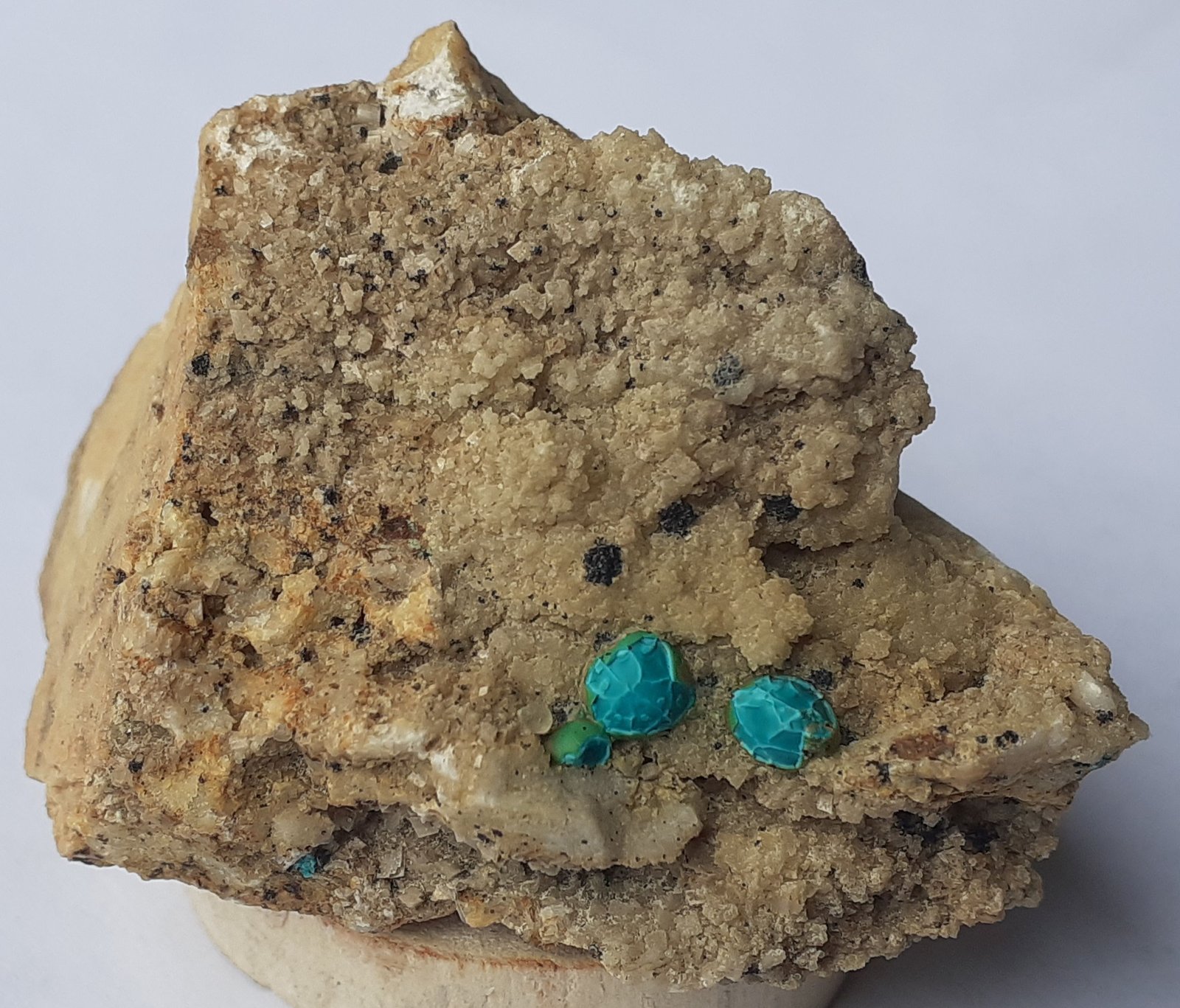 Chrysocolla, Tenorite, Dolomite, Calcite
4,5 x 3 cm
(Autor: Volkmar Stingl)