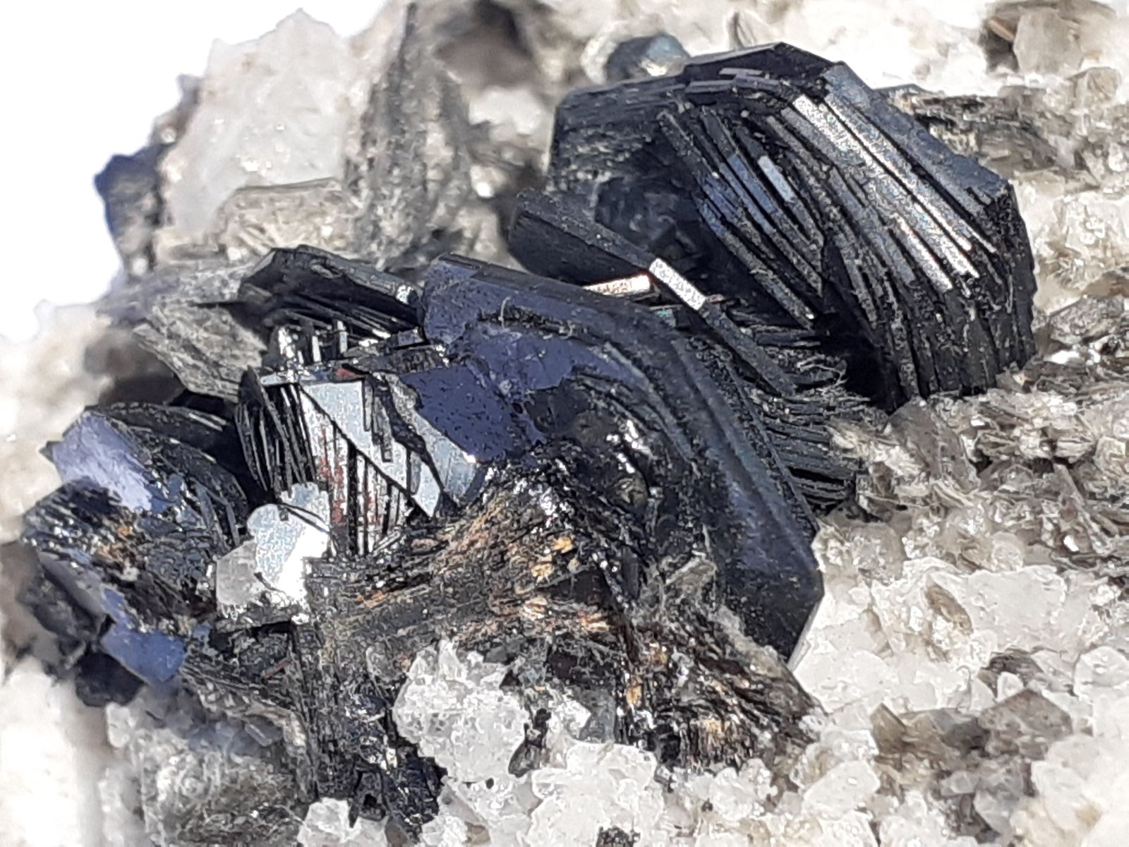 Hematite (variety iron rose)
6,5 x 4 cm
(Autor: Volkmar Stingl)