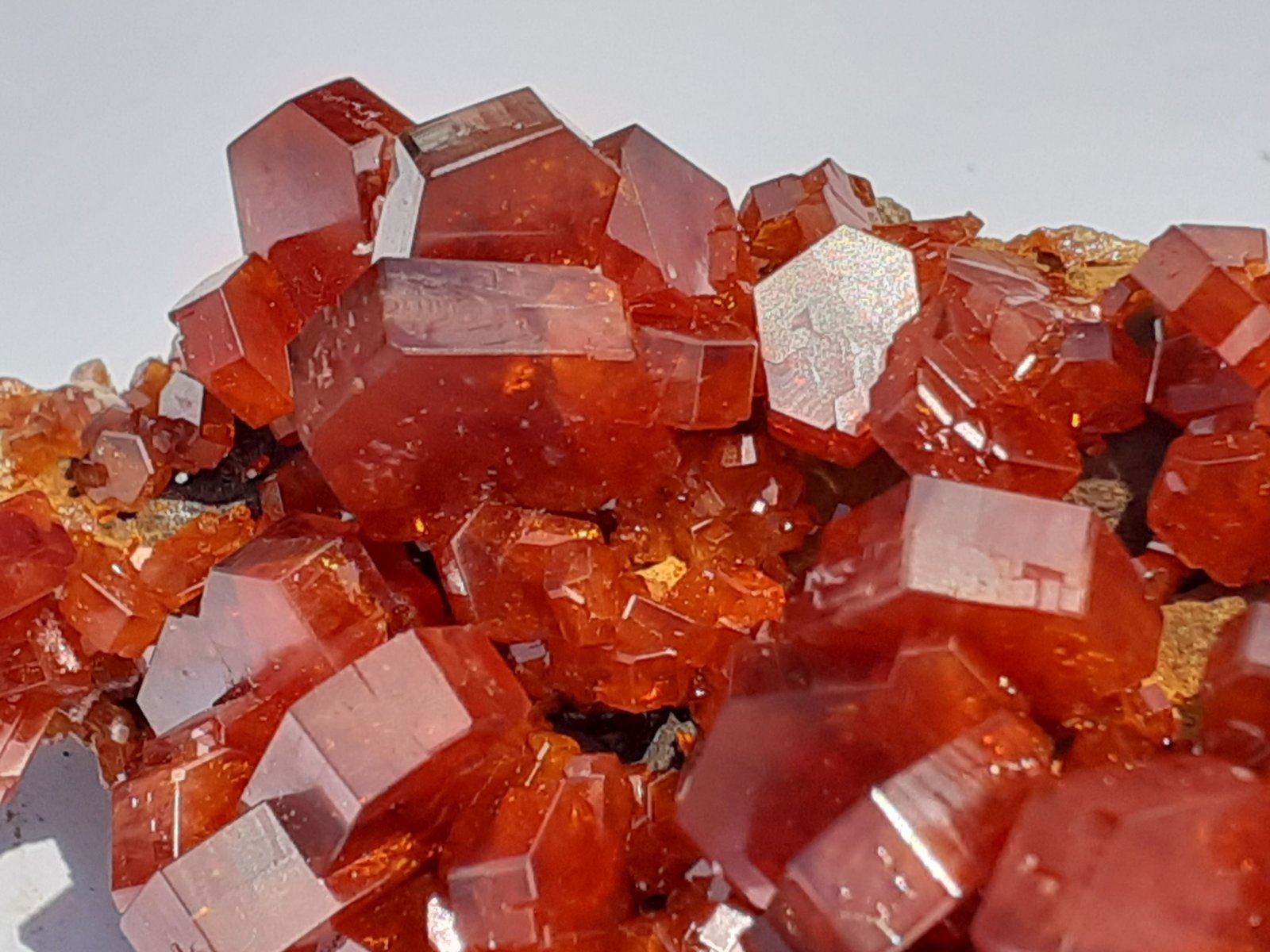 Vanadinite
8 x 4 cm
(Autor: Volkmar Stingl)