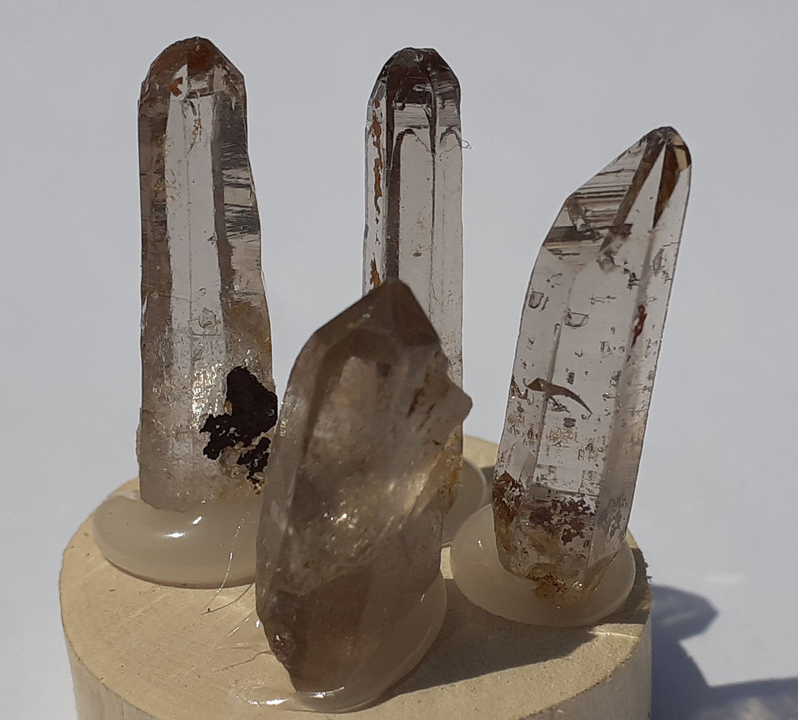 Quartz (variety smoky Quartz)
largest crystal 2,4 cm
(Autor: Volkmar Stingl)