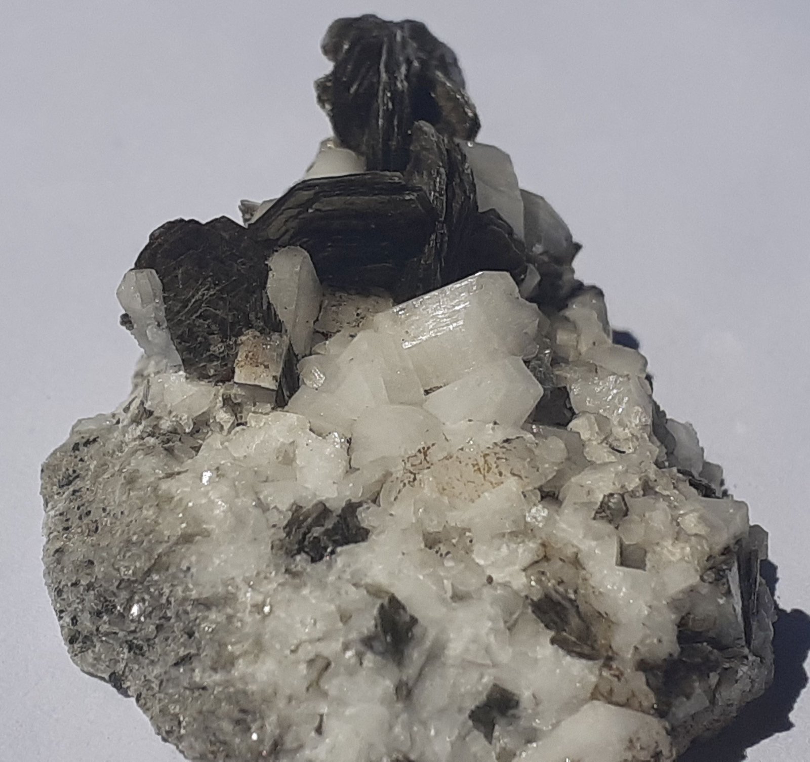 Muscovite, Albite (variety pericline)
3 x 2,5 cm
(Autor: Volkmar Stingl)