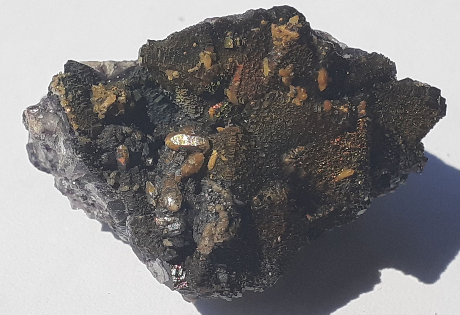 Fluorite, Calcite, Goethite
3 x 2 cm
(Autor: Volkmar Stingl)
