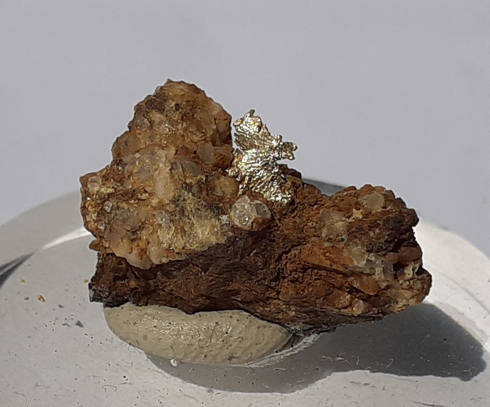Gold
2 x 1,5 cm
(Autor: Volkmar Stingl)