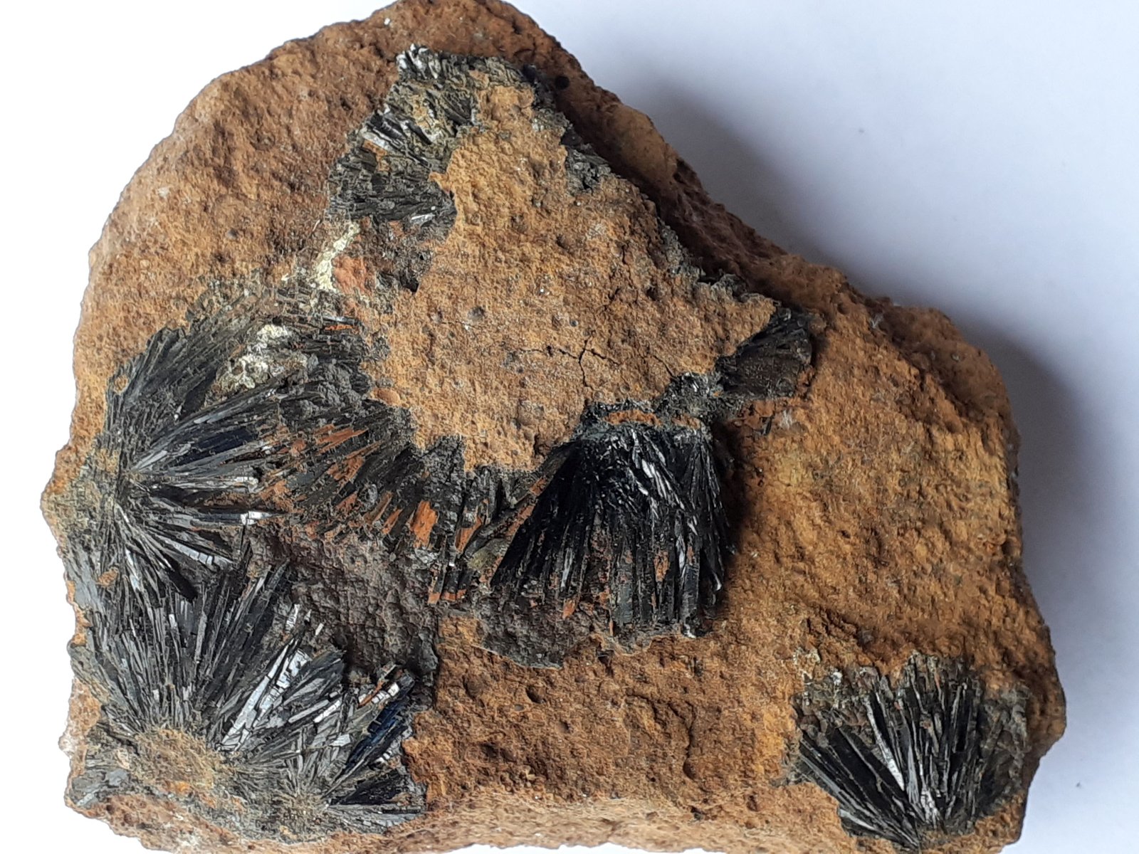 Vivianite
8 x 8 cm
(Autor: Volkmar Stingl)