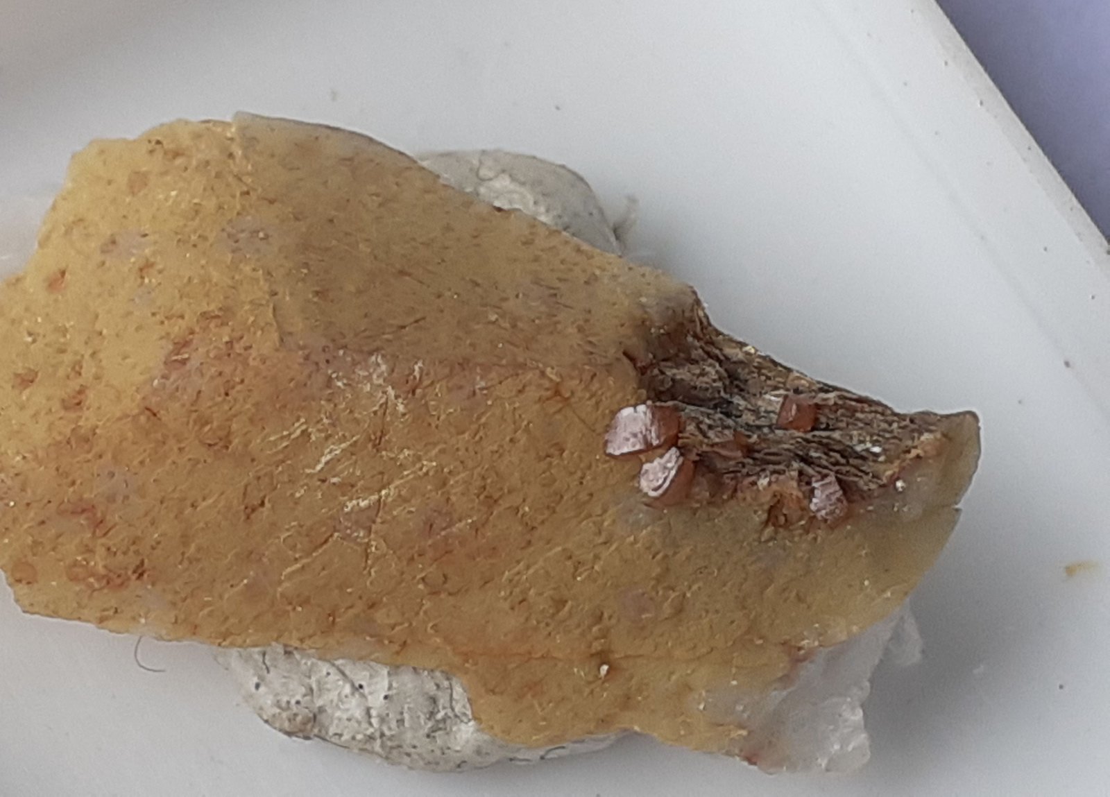 Stolzite
2 x 1 cm
(Autor: Volkmar Stingl)