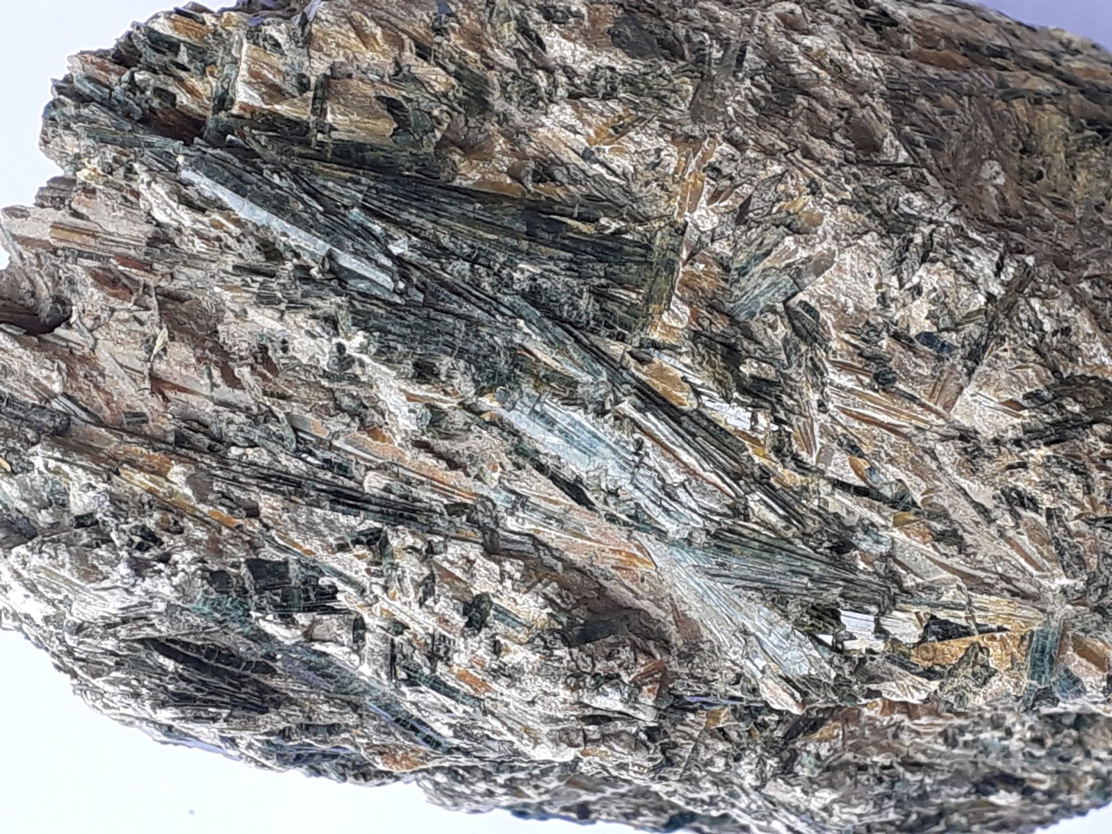 Actinolite in Talc
23 x 11 cm
(Autor: Volkmar Stingl)