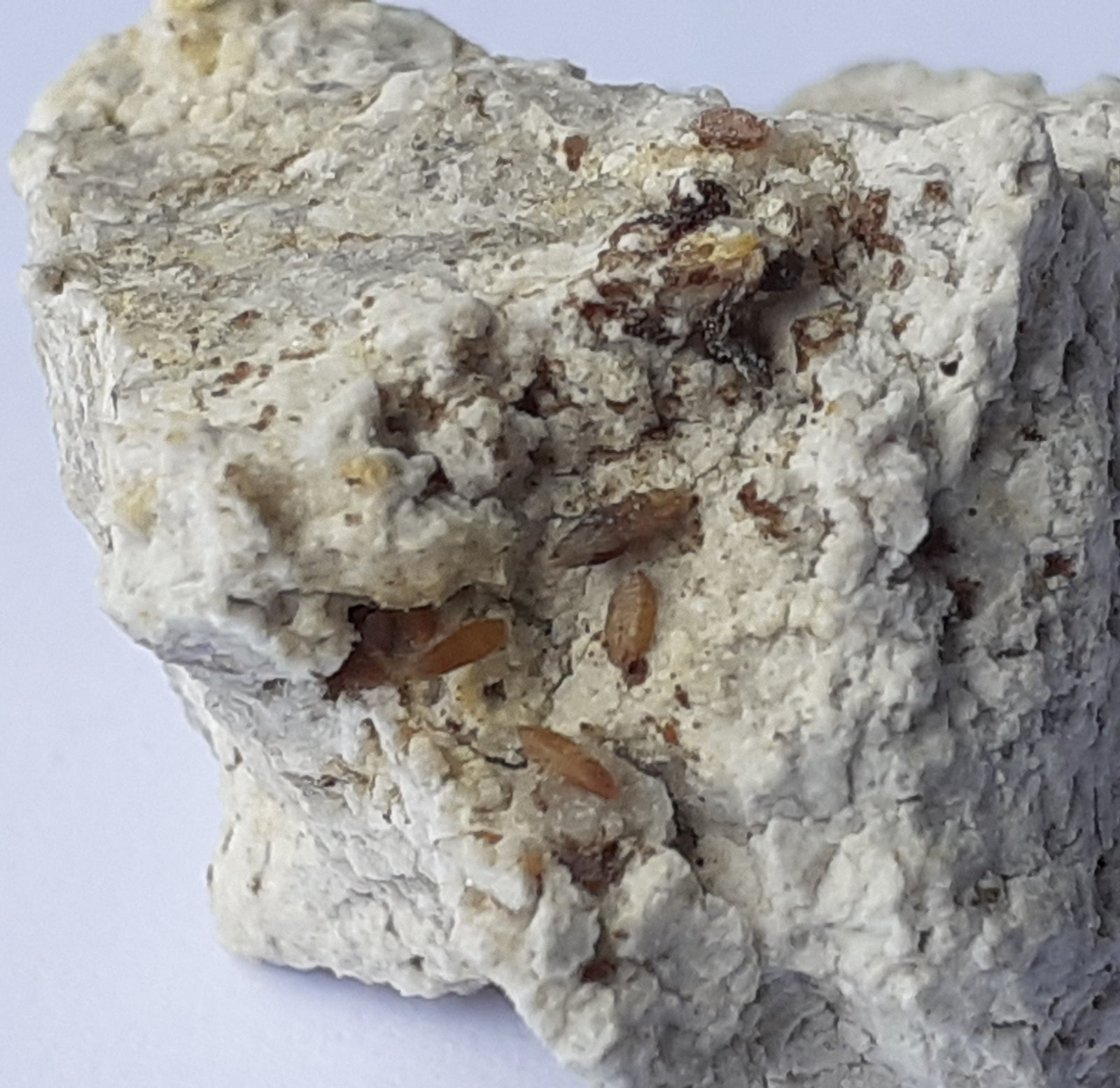Wulfenite
2 x 2 cm
(Autor: Volkmar Stingl)