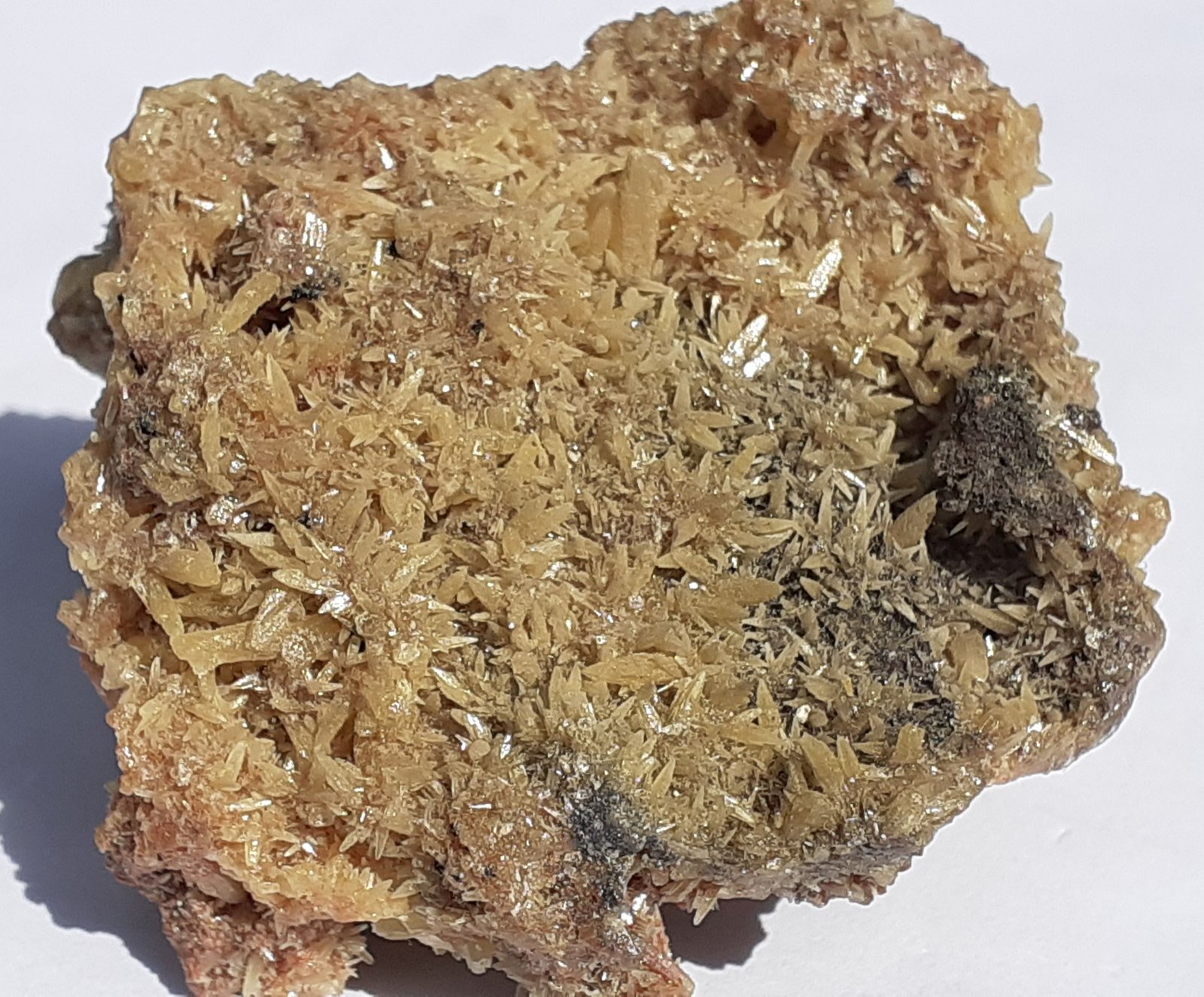 Mimetite
4 x 3,5 cm
(Autor: Volkmar Stingl)