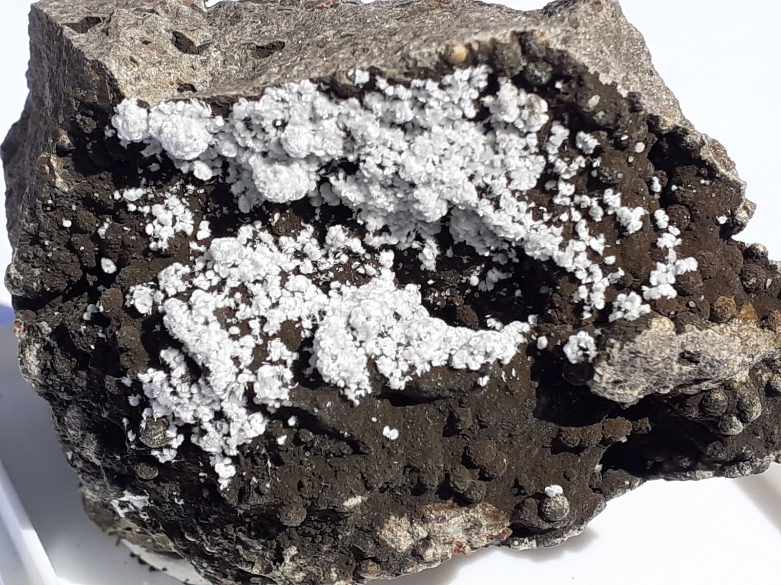 Ferrierite-Mg
5 x 3,5 cm
(Autor: Volkmar Stingl)