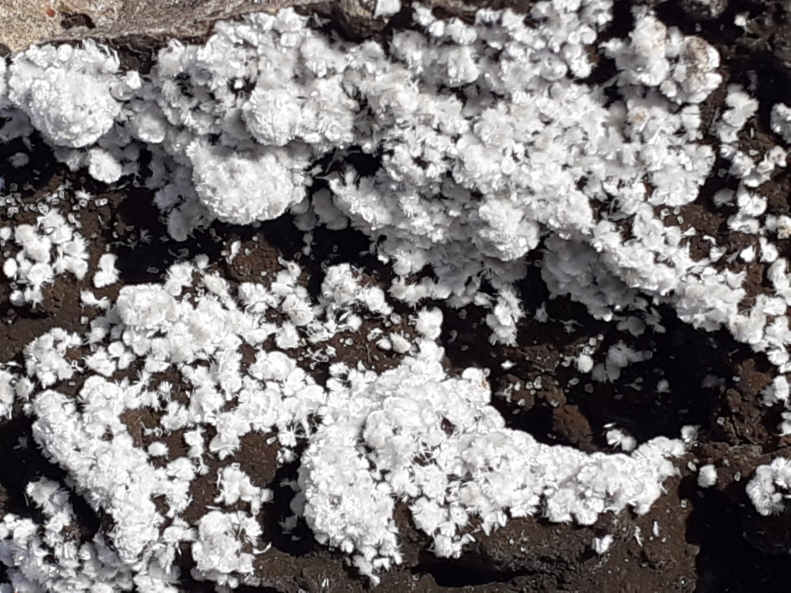 Ferrierite-Mg
5 x 3,5 cm
(Autor: Volkmar Stingl)