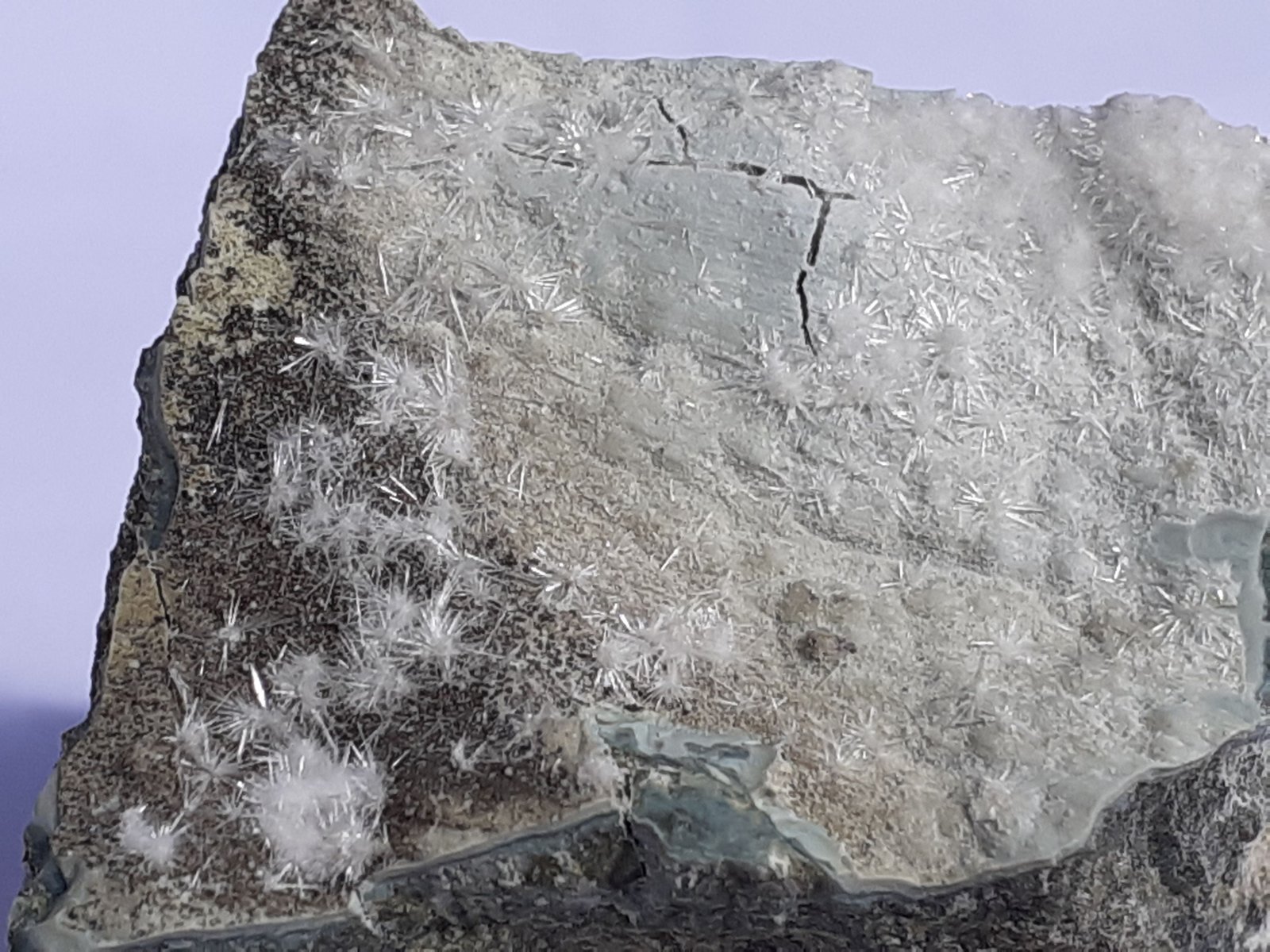 Artinite
3 x 2,5 cm
(Autor: Volkmar Stingl)