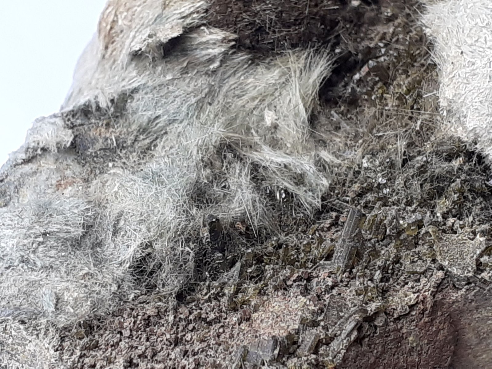Epidote, Actinolite (variety Byssolite)
6 x 5,5 cm
(Autor: Volkmar Stingl)