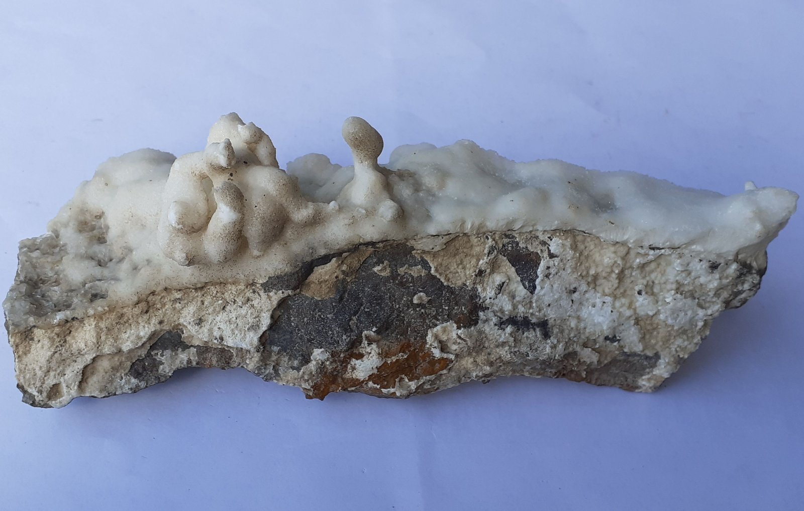 Aragonite (variety flos ferri)
16 x 6 cm
(Autor: Volkmar Stingl)