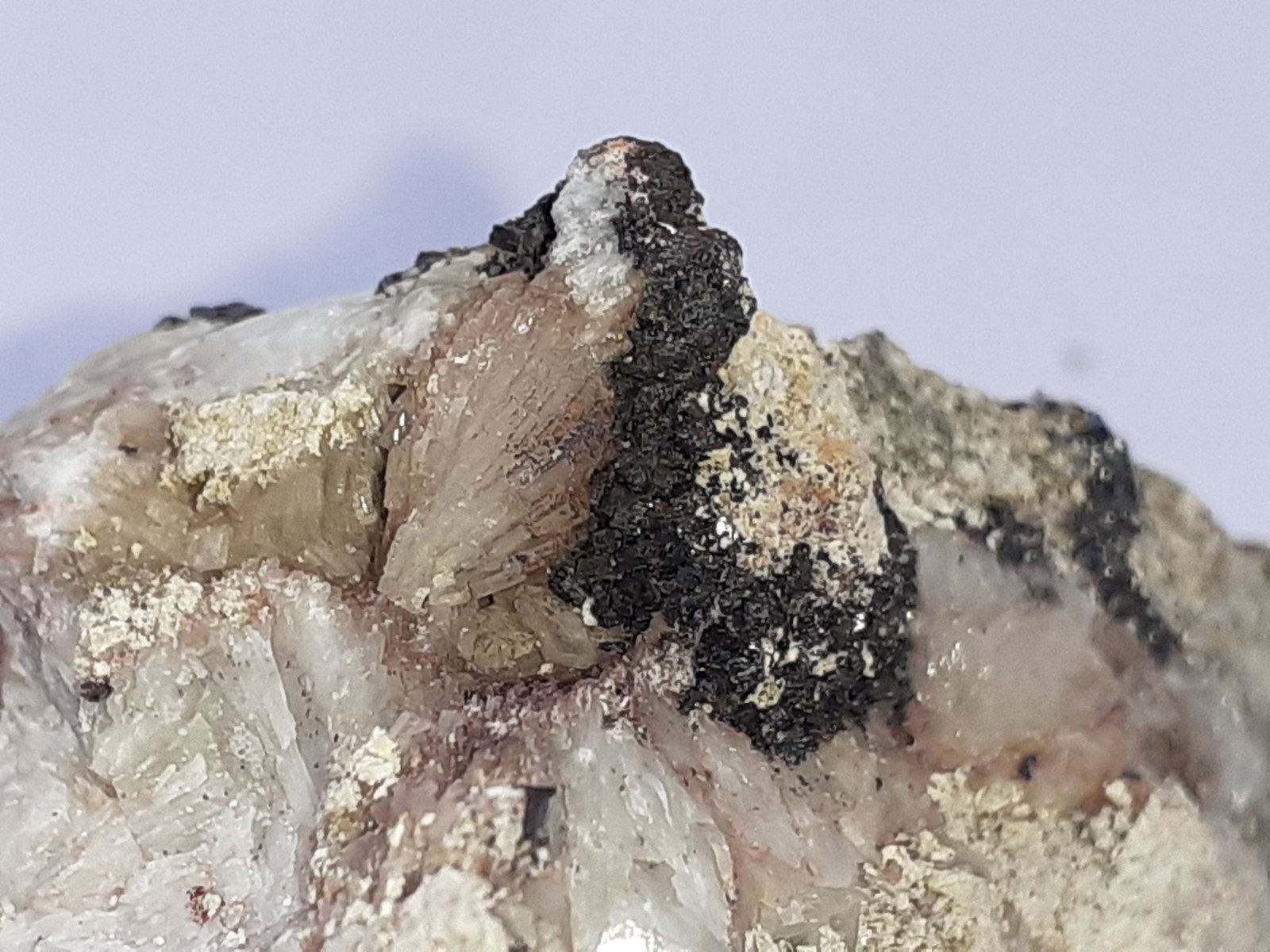 Descloizite, Baryte, Smithsonite, Greenockite
3,5 x 3 cm
(Autor: Volkmar Stingl)