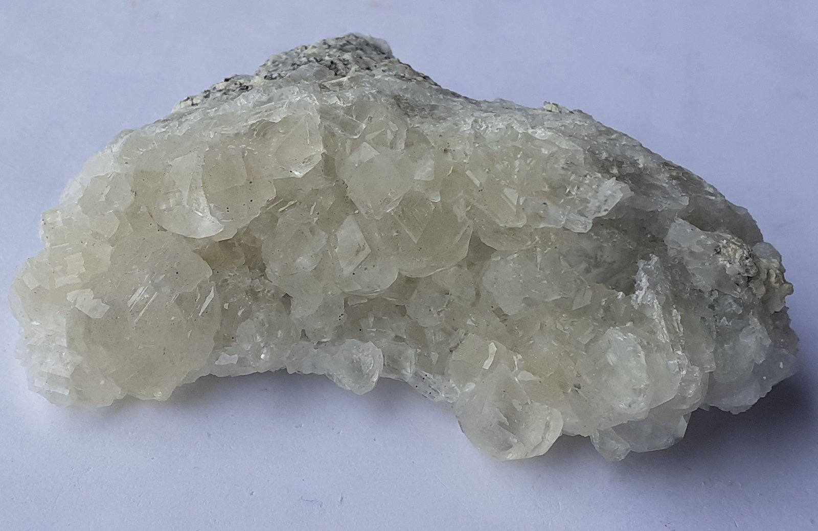 6,5 x 2,5 cm
(Autor: Volkmar Stingl)