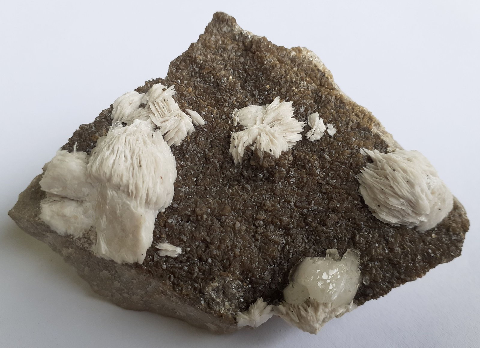 Baryte, Calcite, Sphalerite
6 x 5 cm
(Autor: Volkmar Stingl)