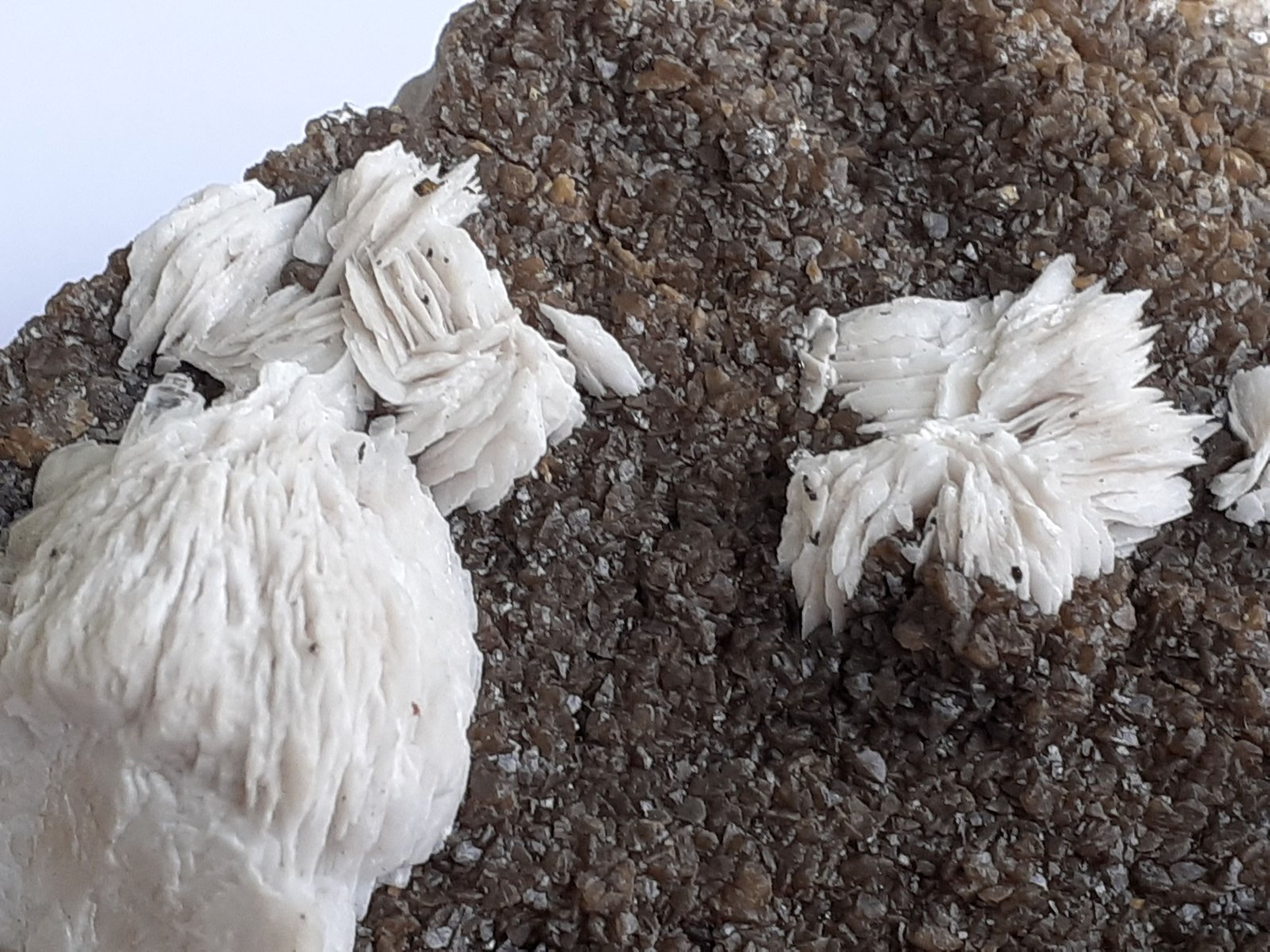 Baryte, Calcite, Sphalerite
6 x 5 cm
(Autor: Volkmar Stingl)