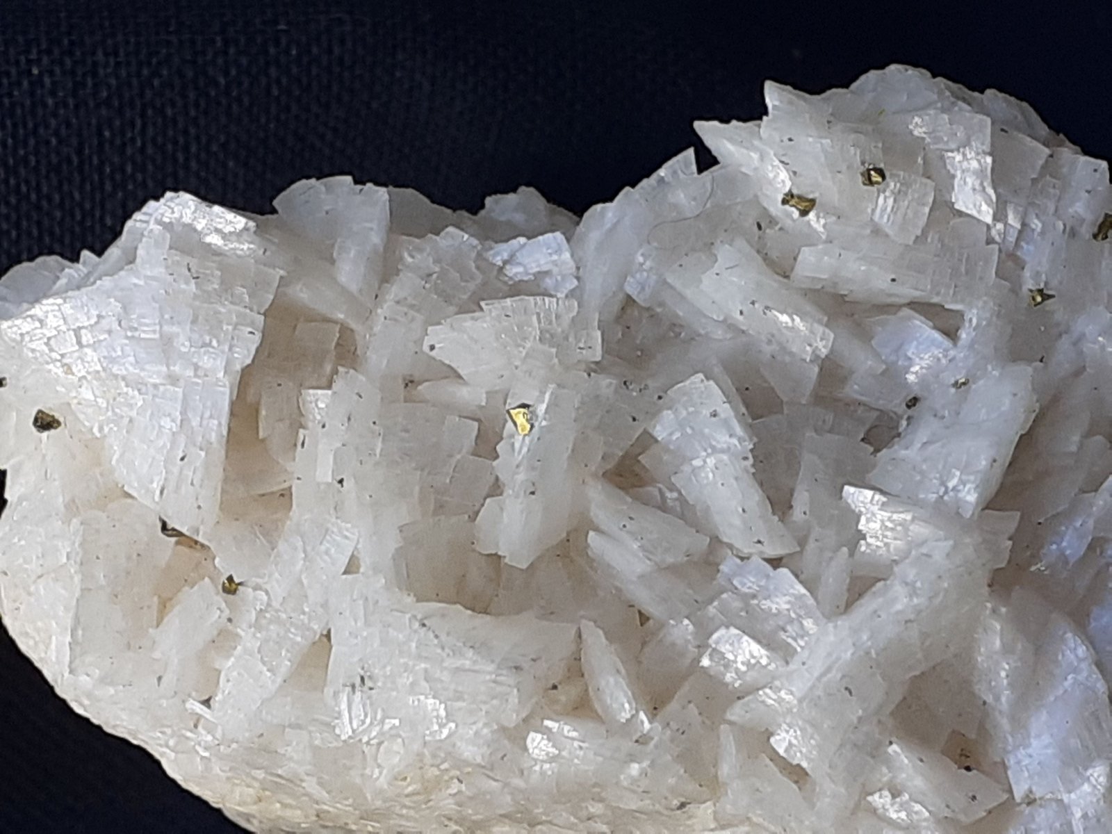 Marcasite on Dolomite
8 x 3,5 cm
(Autor: Volkmar Stingl)