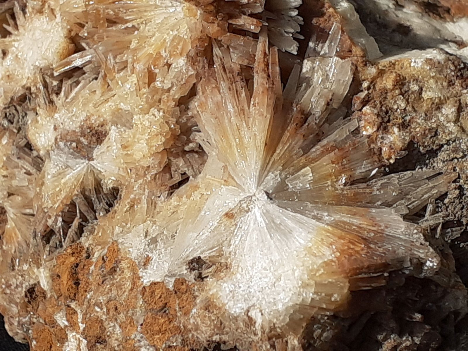 Aragonite
10 x 8 cm
(Autor: Volkmar Stingl)