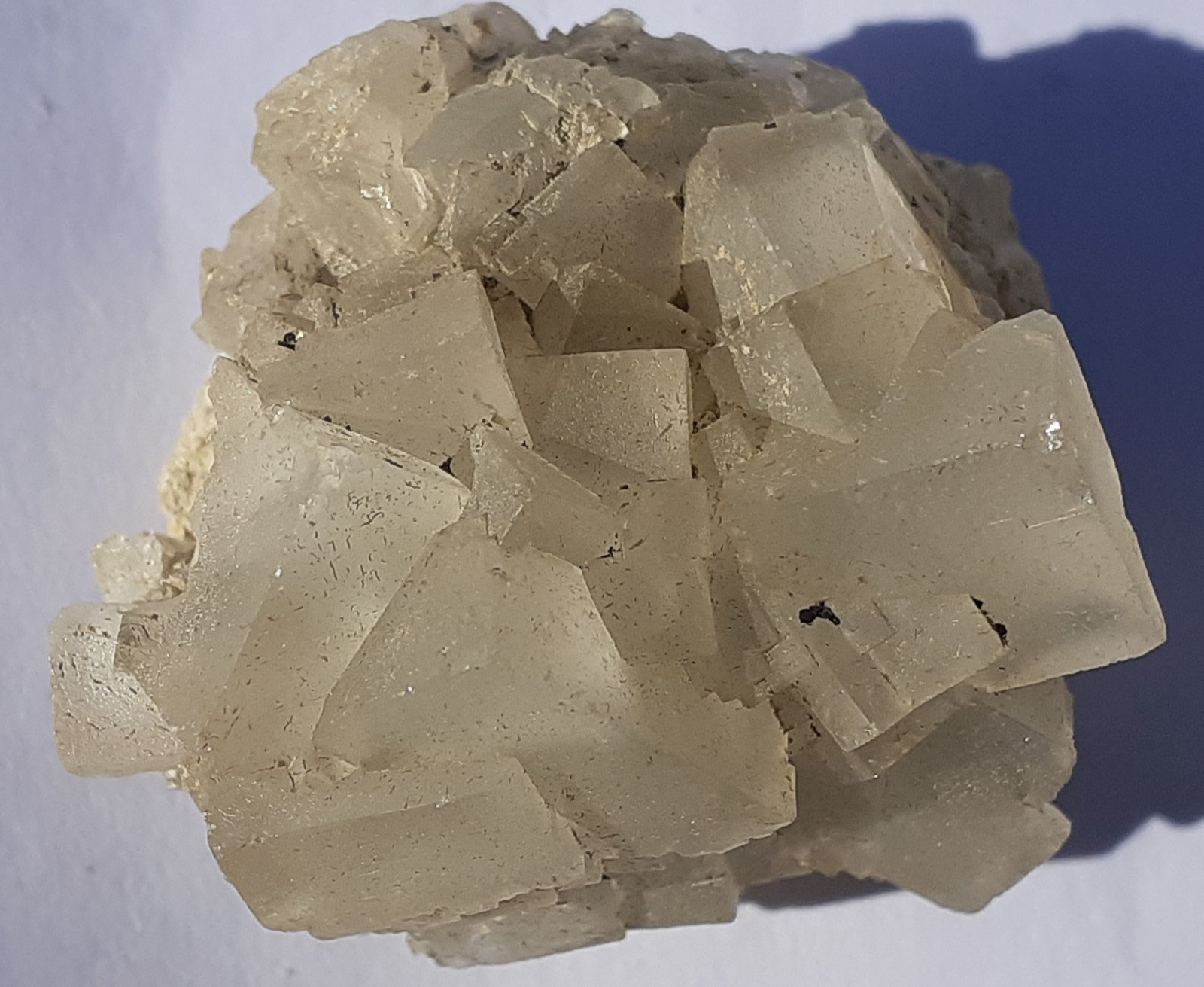 Fluorite
3 x 3 cm
(Autor: Volkmar Stingl)