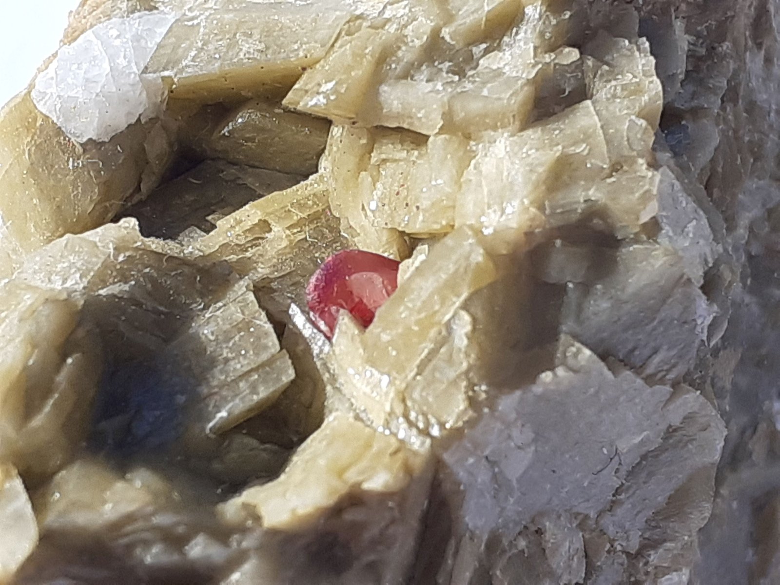 Cinnabar, Siderite
FoV ca. 1 x 1,5 cm
(Autor: Volkmar Stingl)