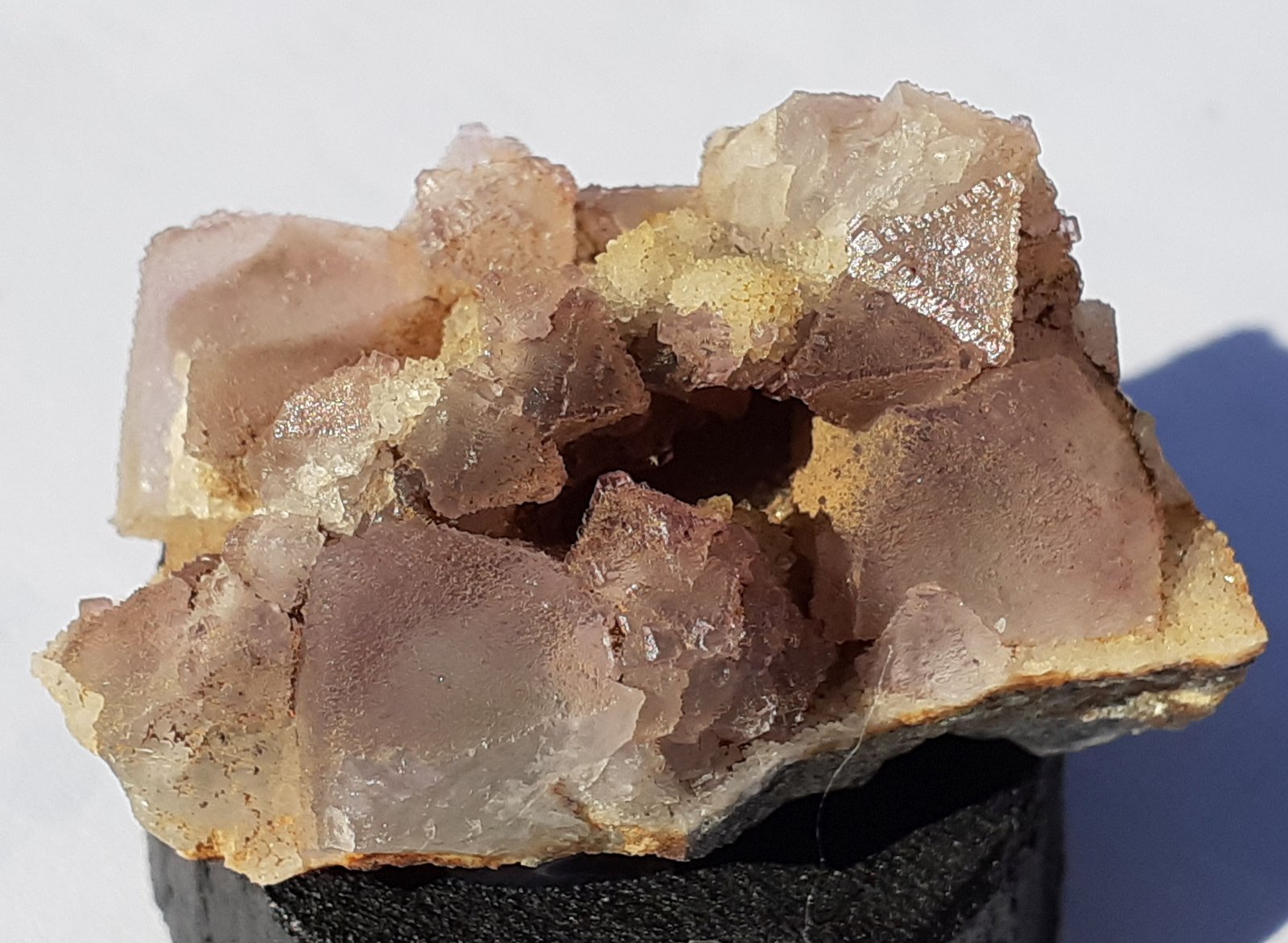 Fluorite
3 x 2,5 cm
(Autor: Volkmar Stingl)