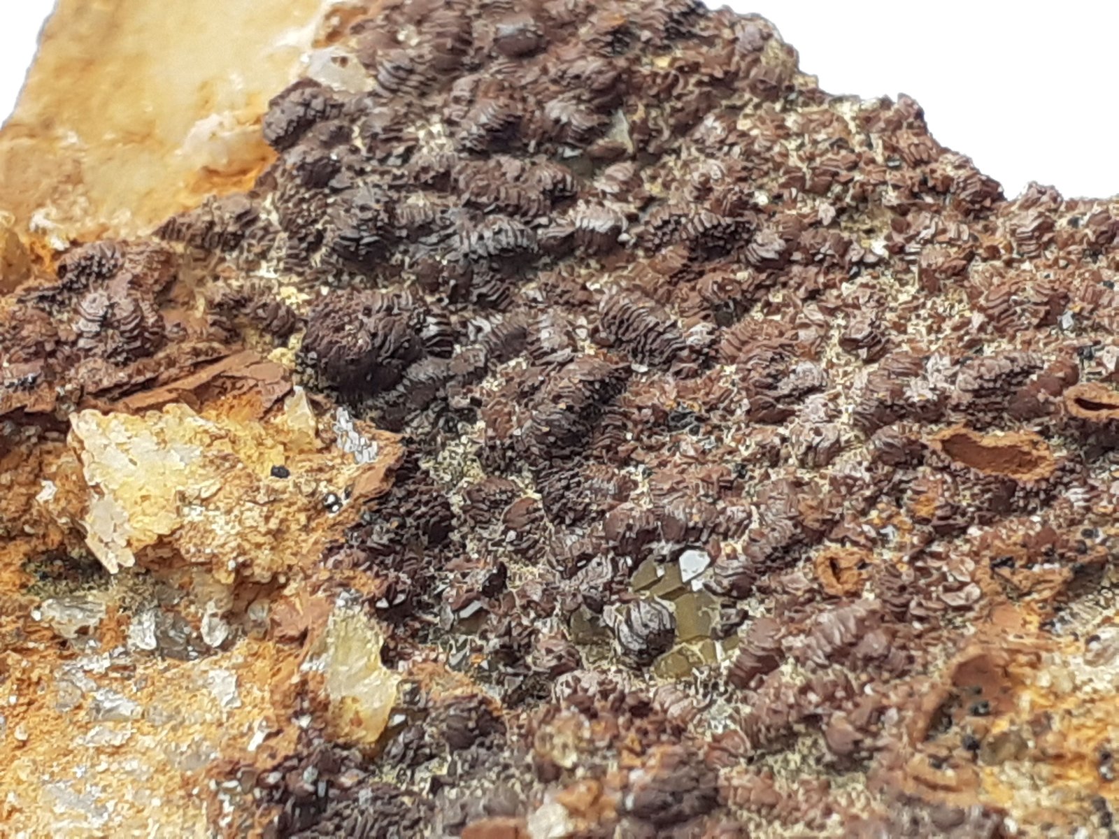Quartz, limonite after Hematite (variety iron rose)
6,5 x 4,5 cm
(Autor: Volkmar Stingl)