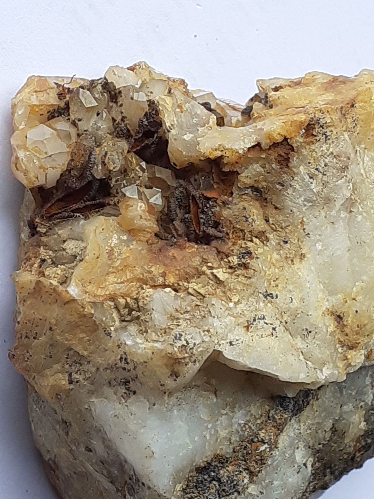 Quartz, limonite after Hematite
5,5 x 5 cm
(Autor: Volkmar Stingl)