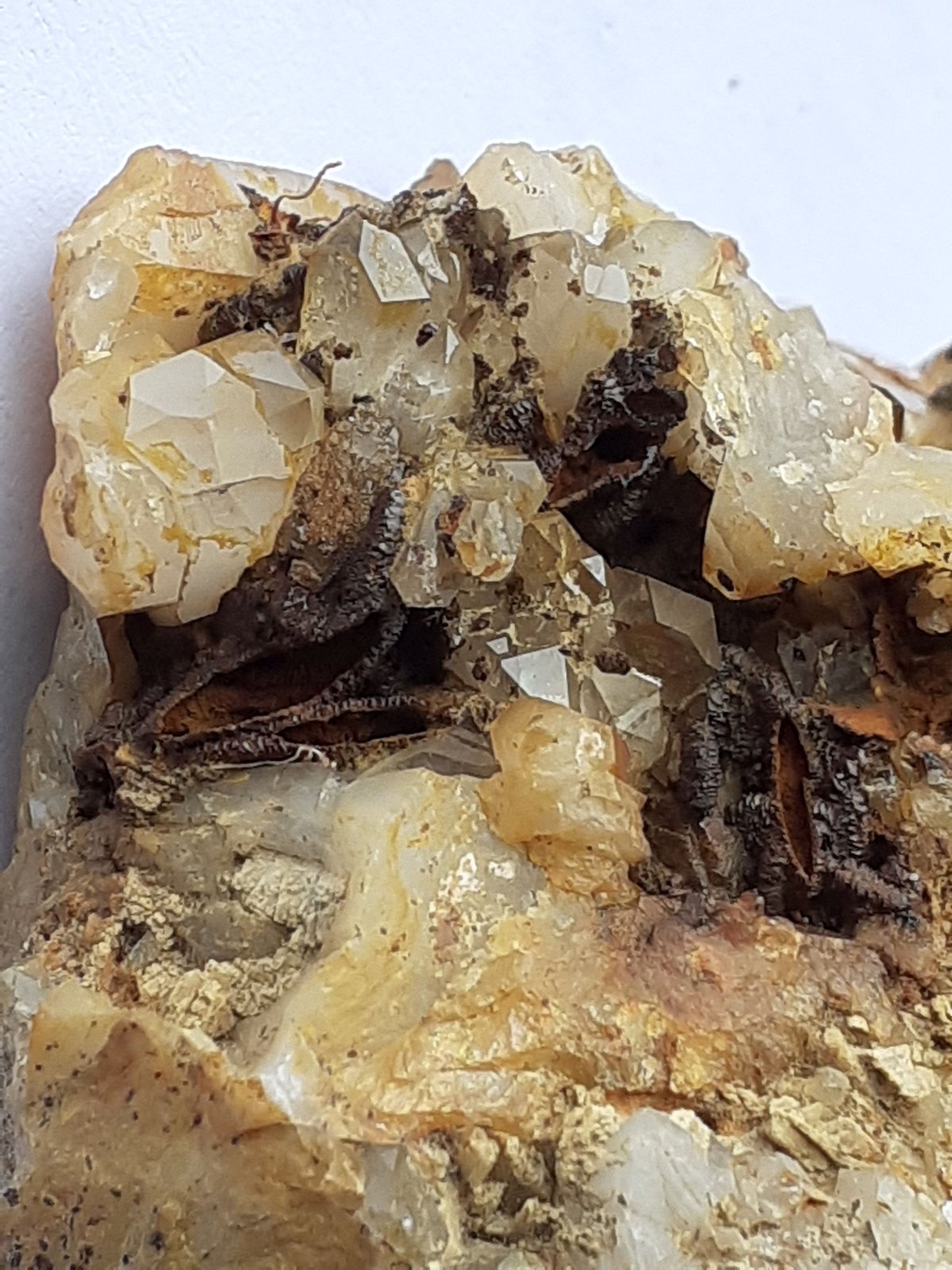 Quartz, limonite after Hematite
5,5 x 5 cm
(Autor: Volkmar Stingl)