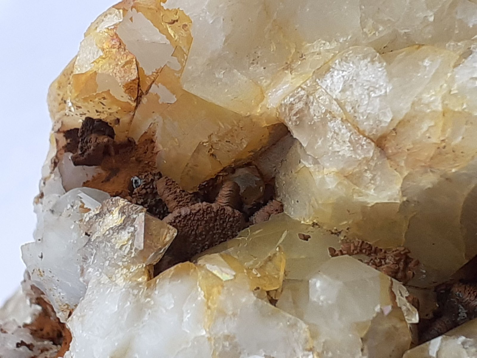 Quartz, limonite after Hematite
5 x 4,5 cm
(Autor: Volkmar Stingl)