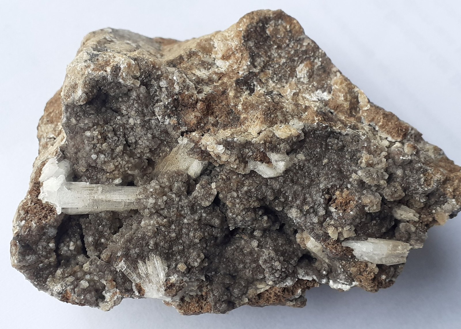 Aragonite, Baryte, Dolomite
8 x 6 cm
(Autor: Volkmar Stingl)