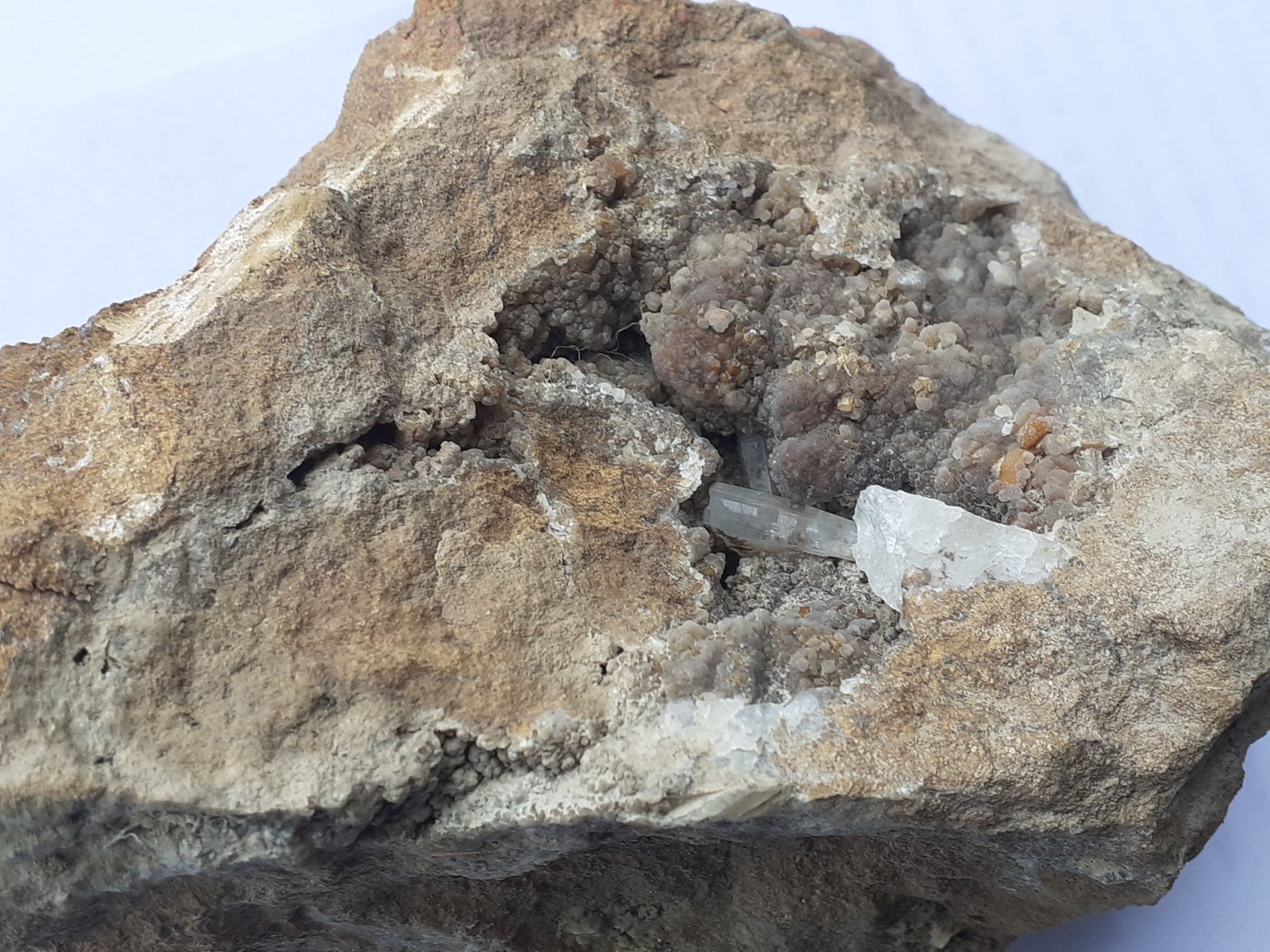 Aragonite
16 x 10 cm
(Autor: Volkmar Stingl)