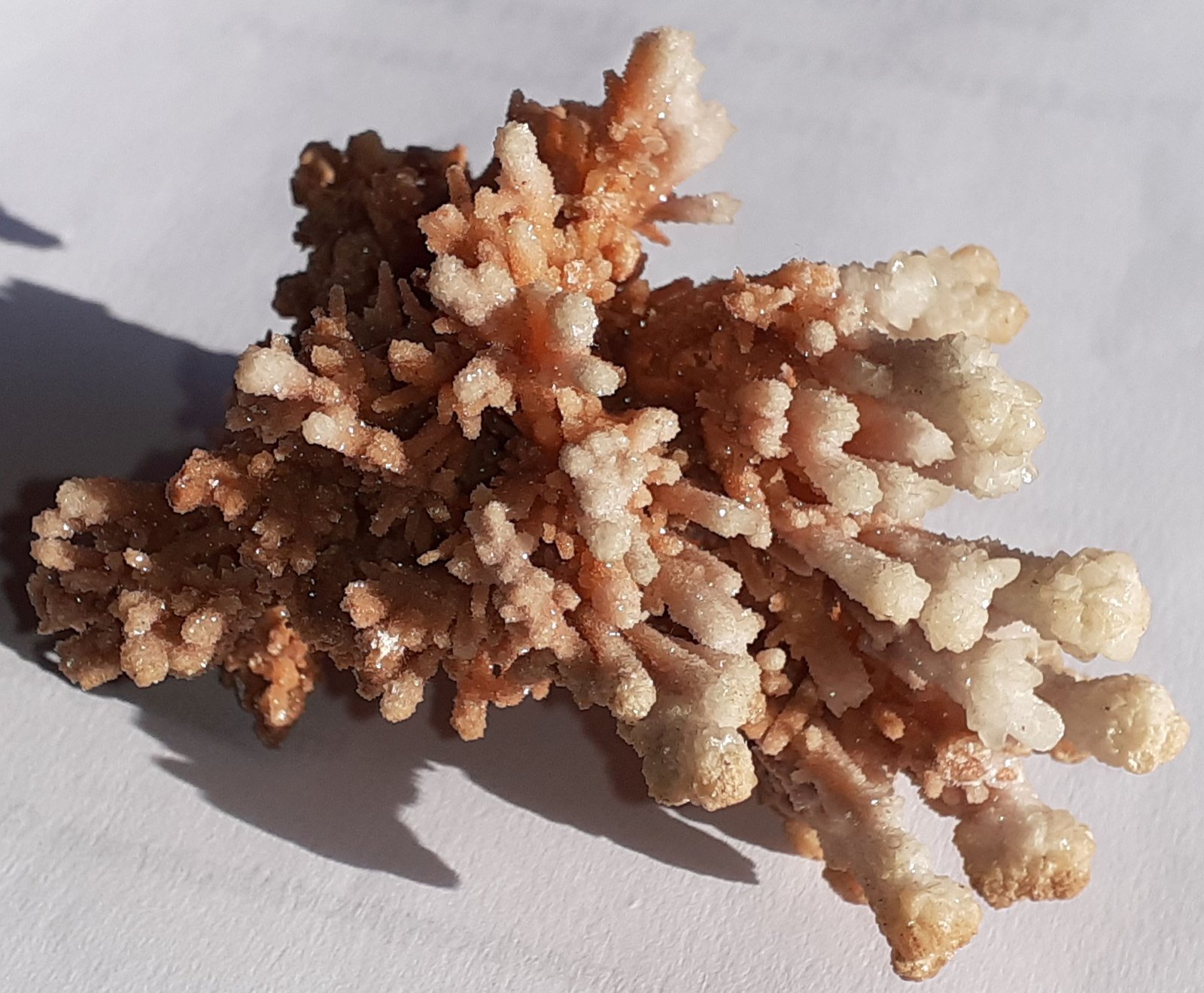 Calcite on Aragonite
9 x 7 cm
(Autor: Volkmar Stingl)