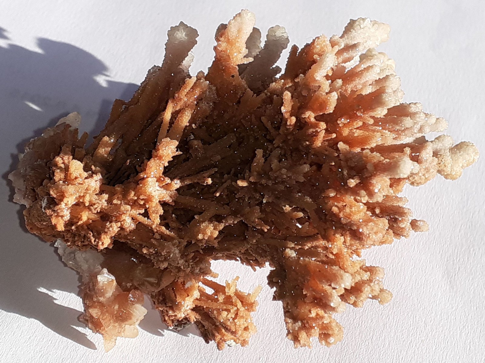 Calcite on Aragonite
9 x 7 cm
(Autor: Volkmar Stingl)