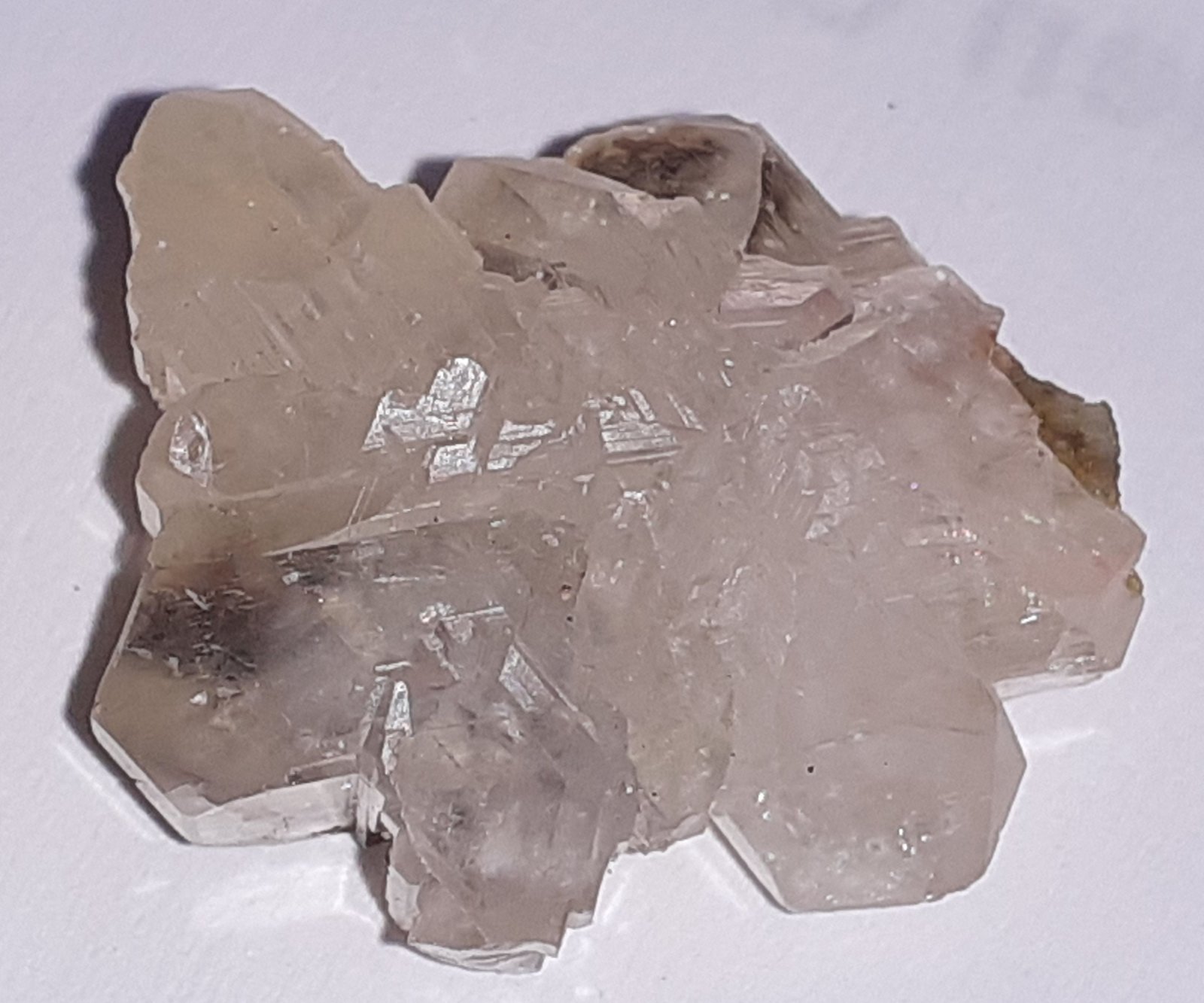 Cerussite
2,2 x 1,8 cm
(Autor: Volkmar Stingl)