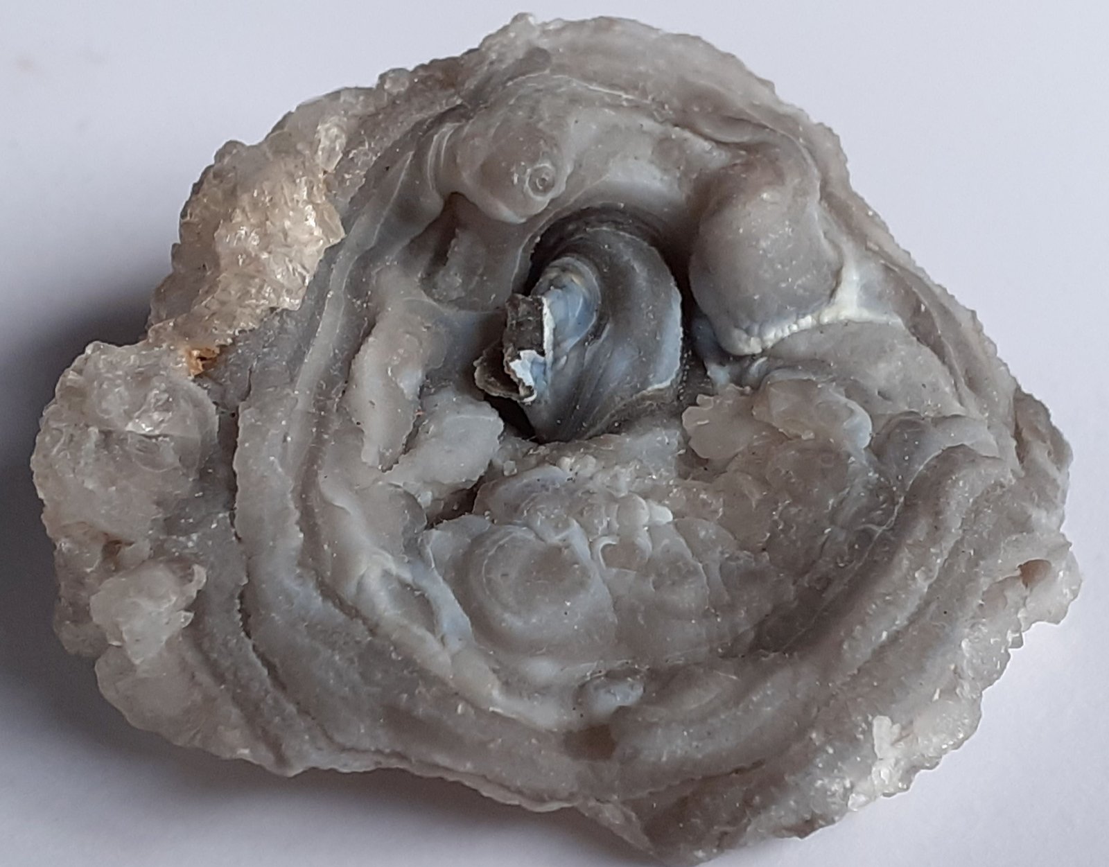 Quartz (variety chalcedony), Quartz
4 x 3,5 cm
(Autor: Volkmar Stingl)