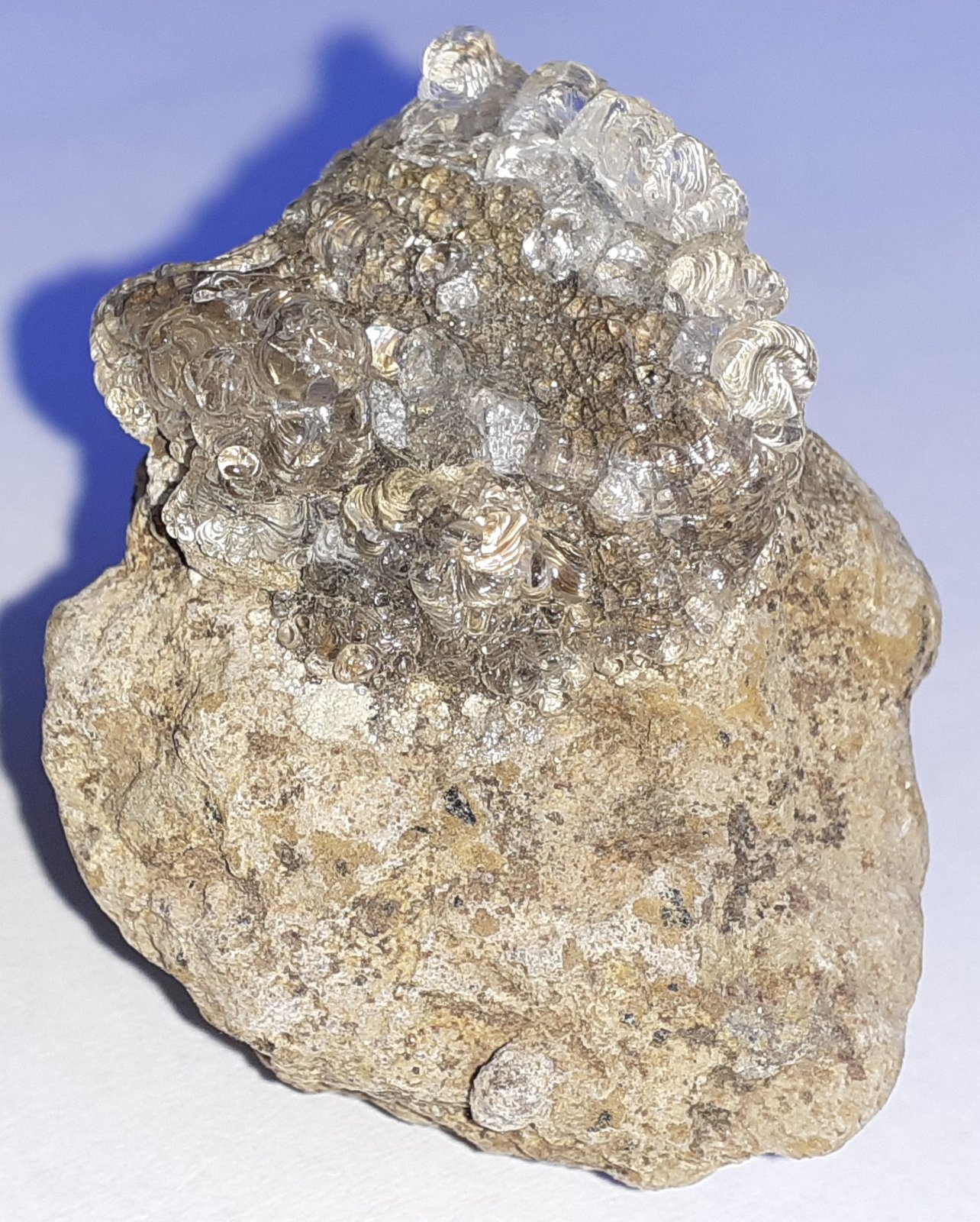 Opal (variety hyalite)
4 x 3,5 cm
(Autor: Volkmar Stingl)