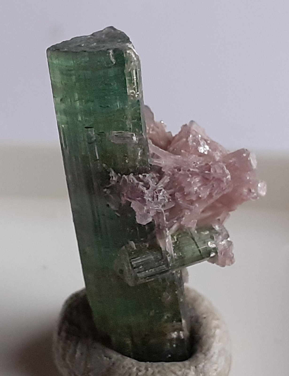 Elbaite, 'lepidolite'
2 cm
(Autor: Volkmar Stingl)