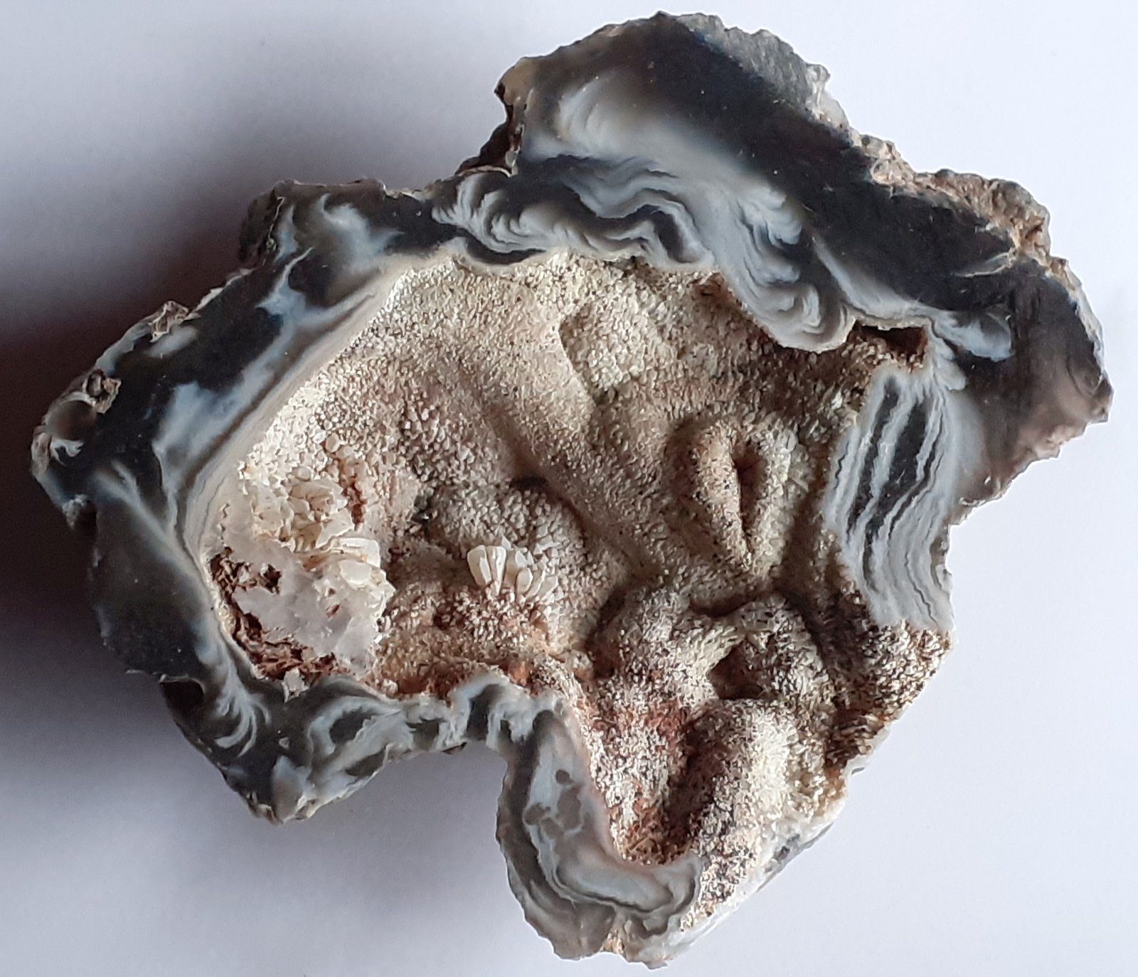 Quartz (variety agate), Quartz
6 x 5,5 cm
(Autor: Volkmar Stingl)