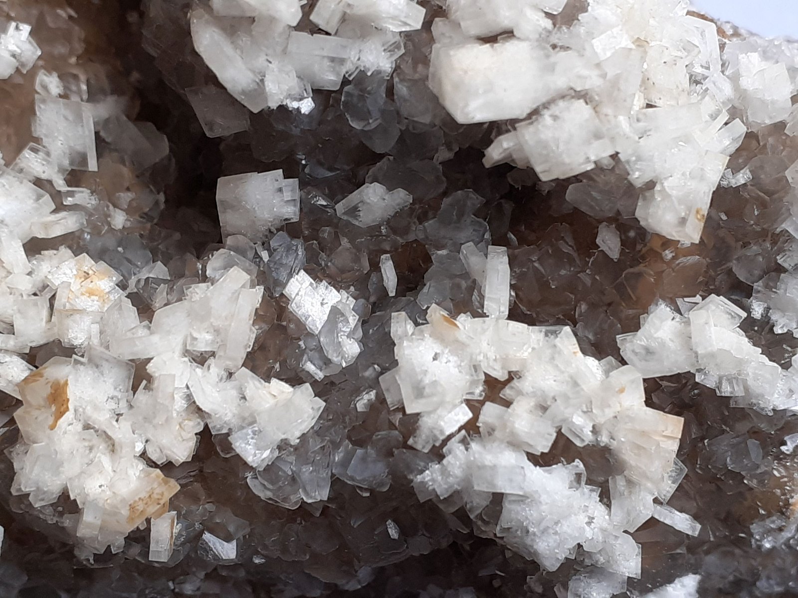Baryte and Calcite on Magnesite
10 x 8 cm
(Autor: Volkmar Stingl)
