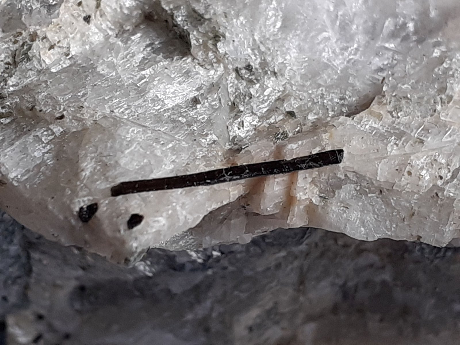 Schorl (Tourmaline Group)
8,5 x 7 cm
(Autor: Volkmar Stingl)