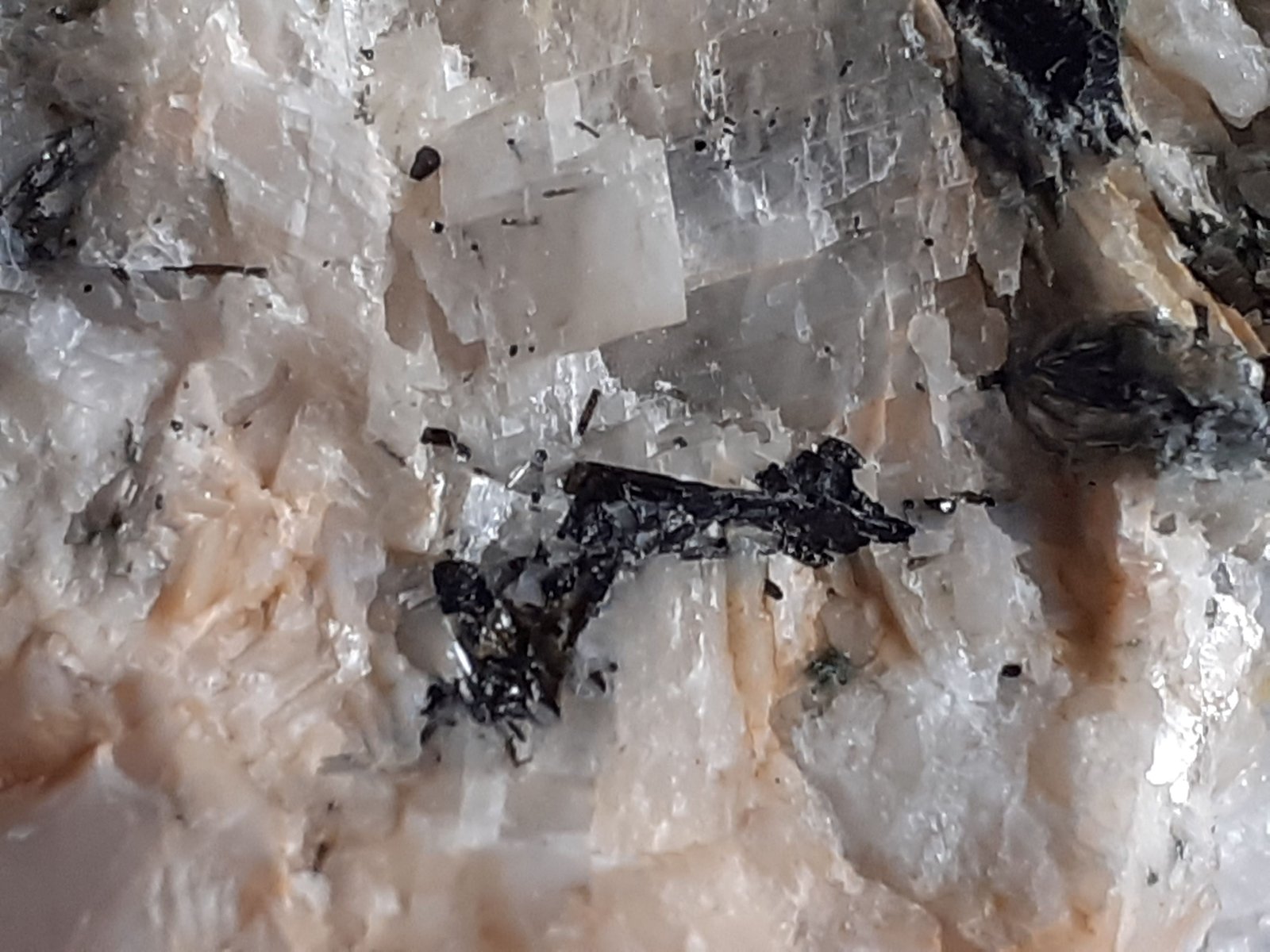 Schorl (Tourmaline Group)
8,5 x 7 cm
(Autor: Volkmar Stingl)