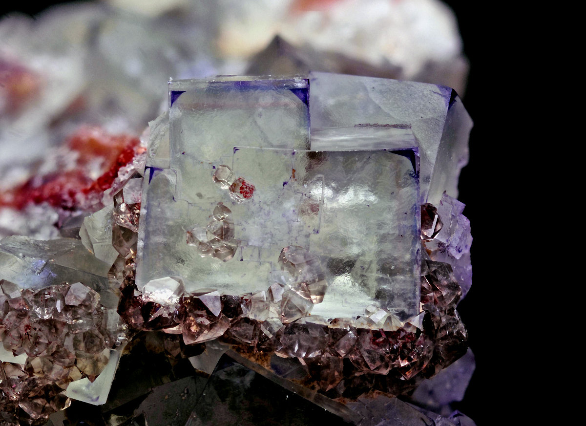 Fluorite-Quartz
FOV 8mm
(Autor: Carlos Pareja)