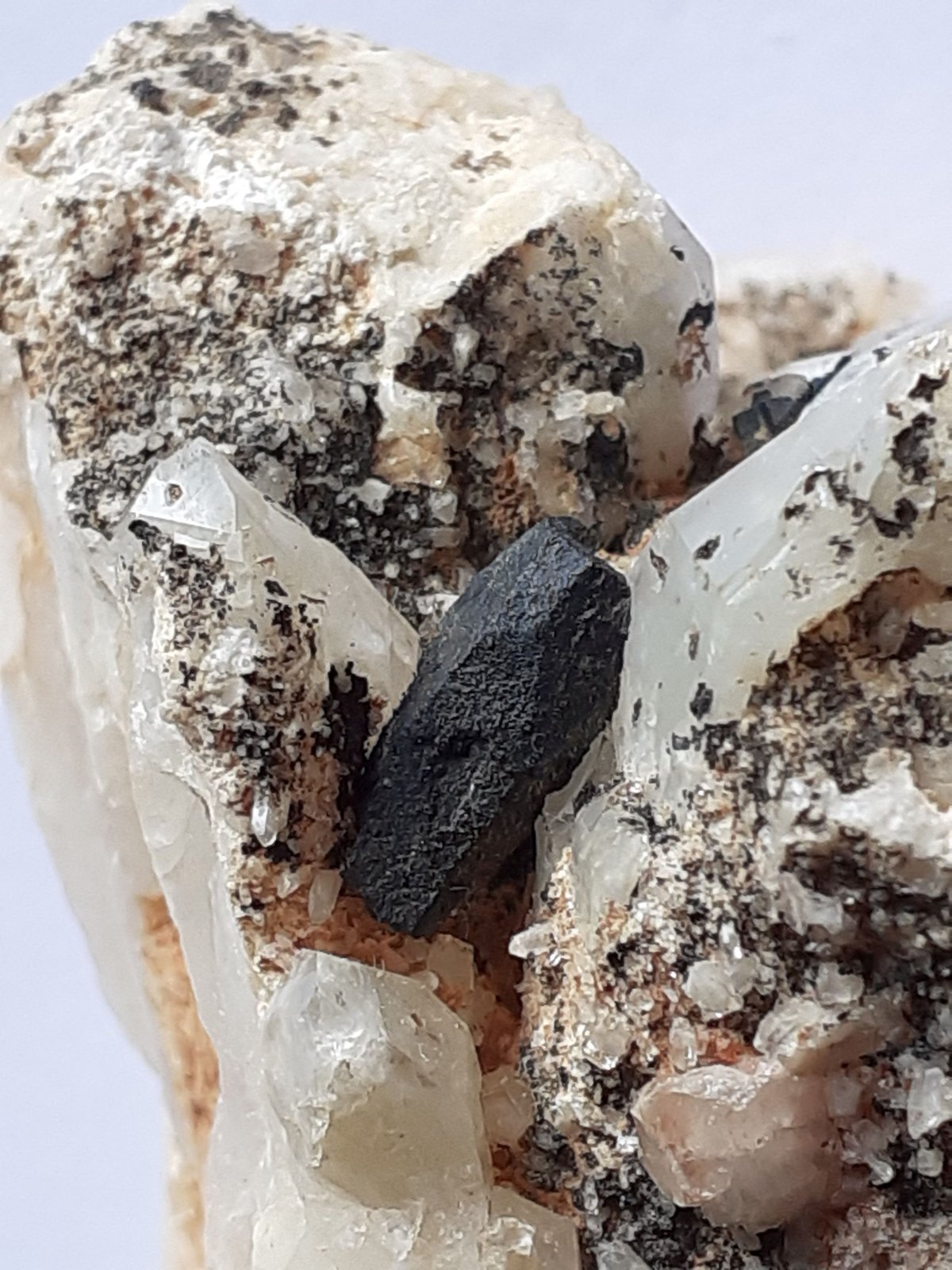 Quartz, Ferberite (?)
5 x 3,5 cm
(Autor: Volkmar Stingl)