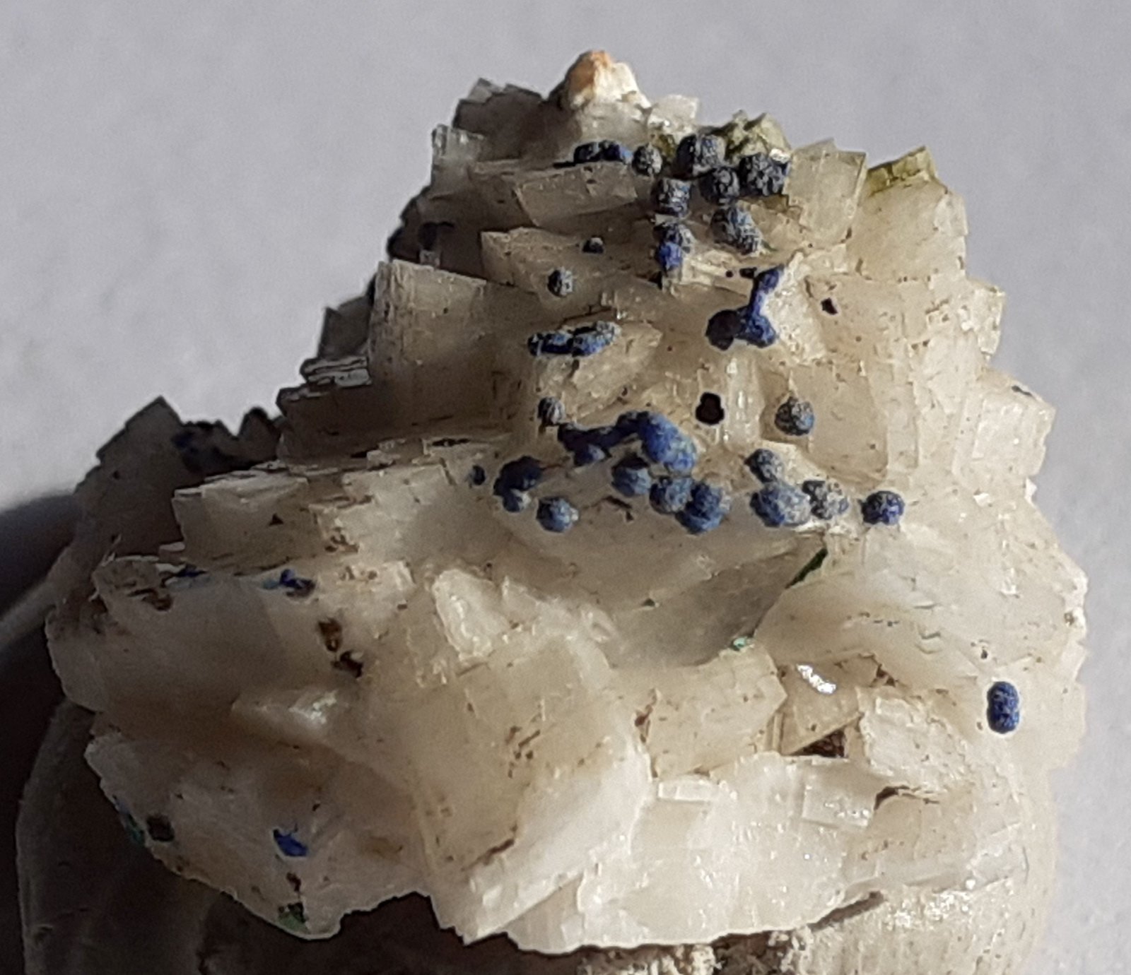 Azurite, Dolomite
1,5 x 1,5 cm
(Autor: Volkmar Stingl)