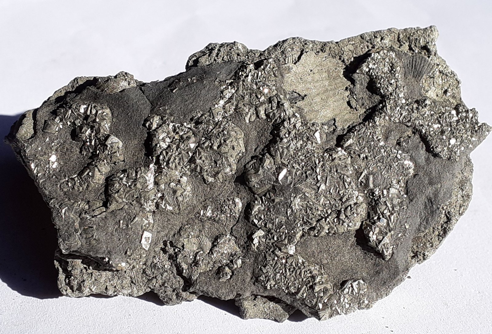 Pyrite
7,5 x 5 cm
(Autor: Volkmar Stingl)