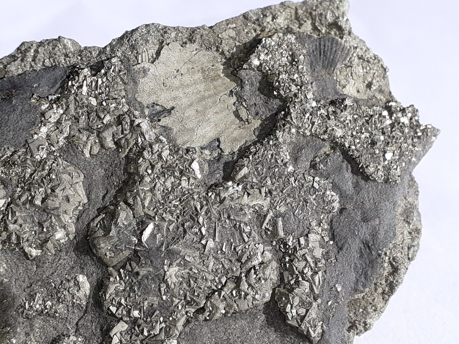 Pyrite
7,5 x 5 cm
(Autor: Volkmar Stingl)