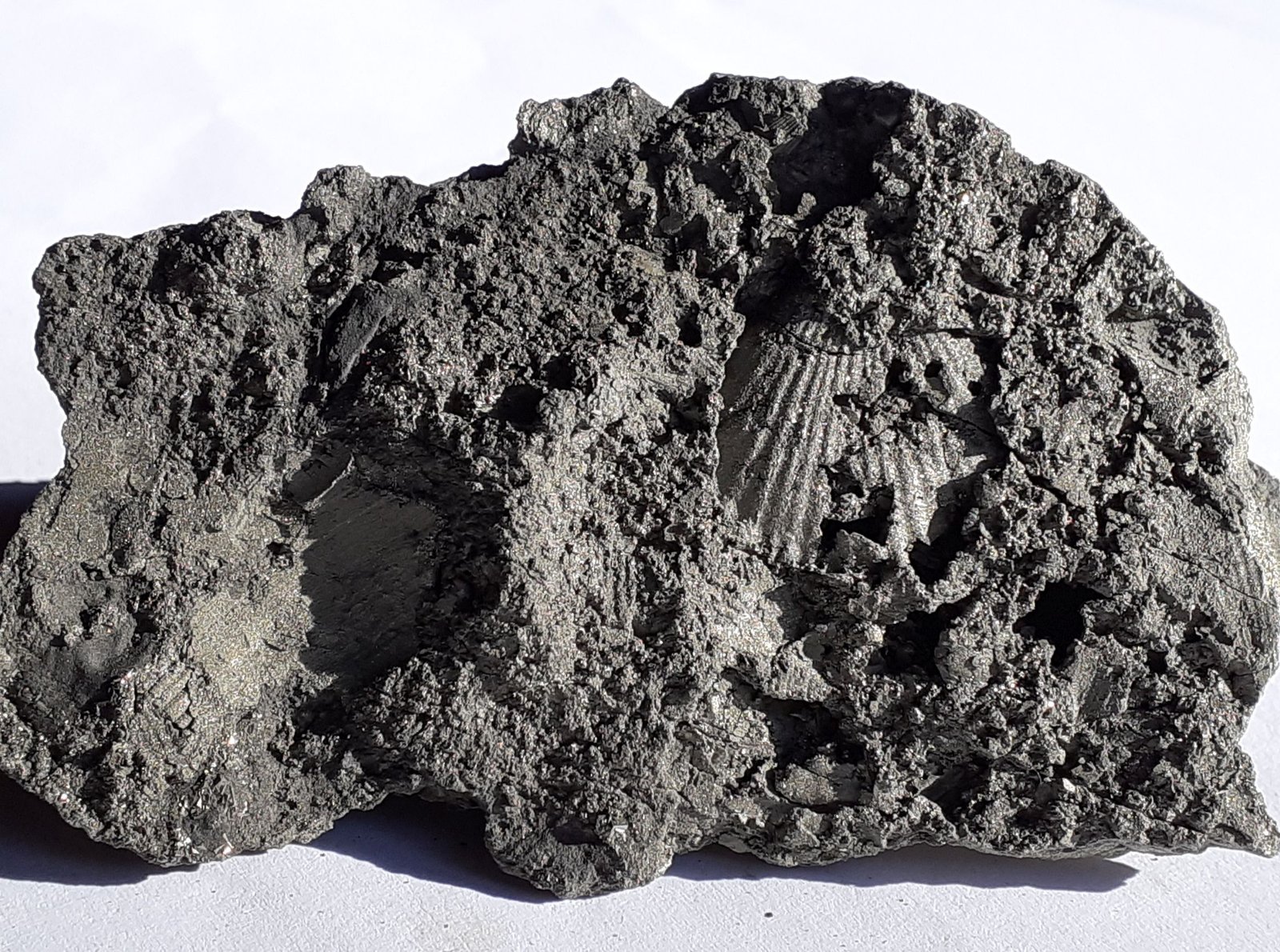 Pyrite
7,5 x 5 cm
(Autor: Volkmar Stingl)