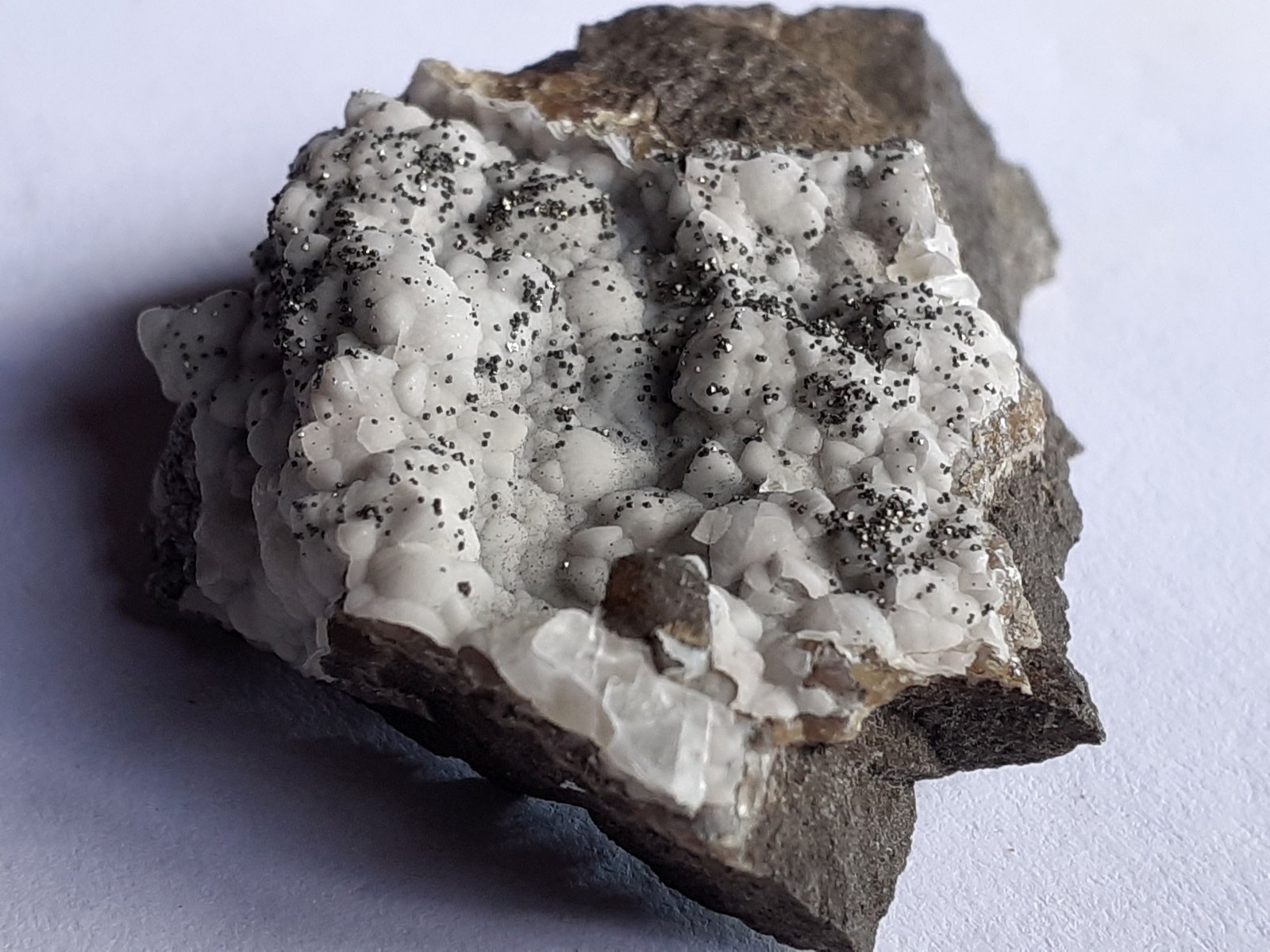 Pyrite, Calcite
4 x 2,5 cm
(Autor: Volkmar Stingl)
